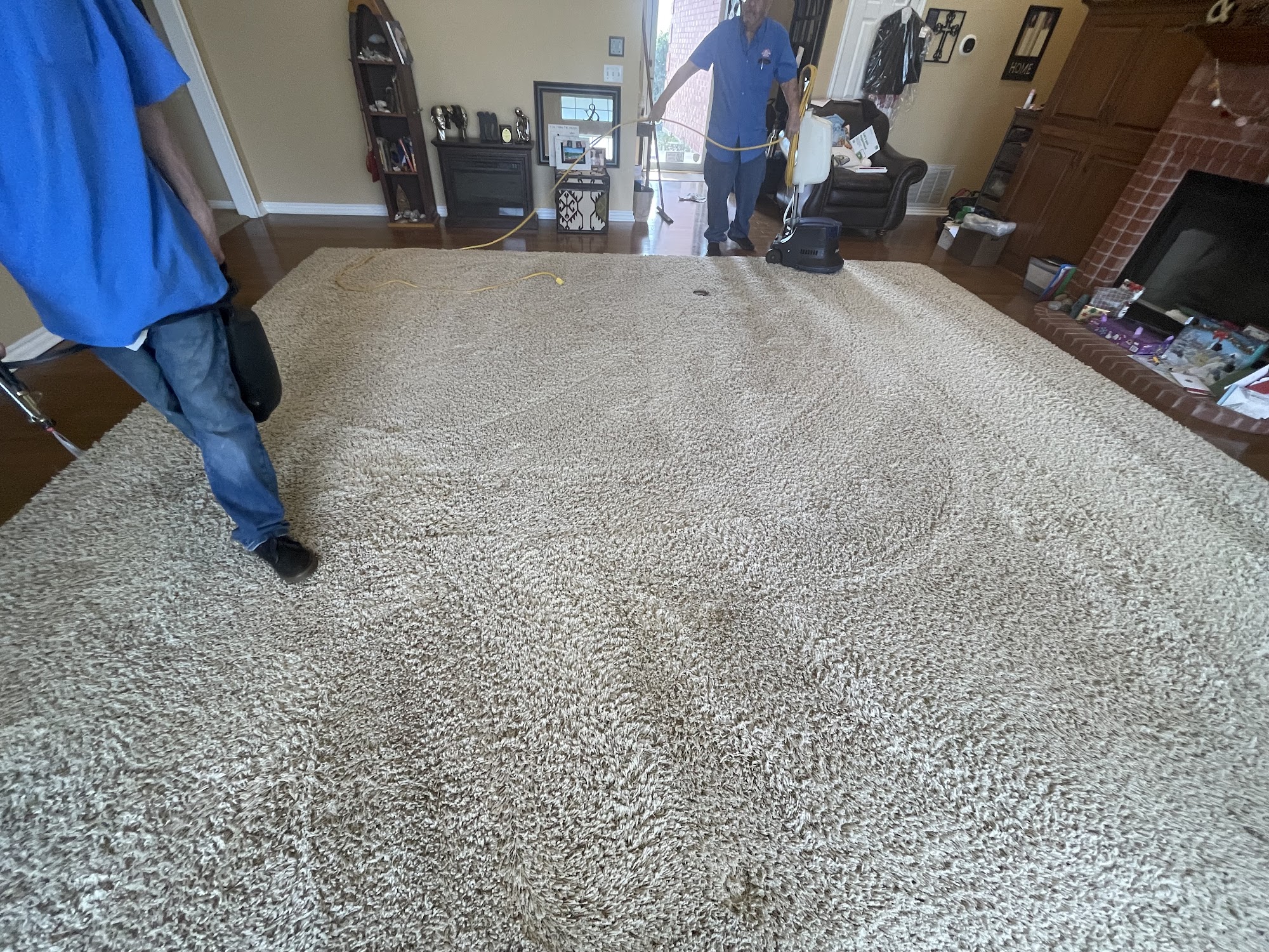 Sunbell Carpet Cleaning