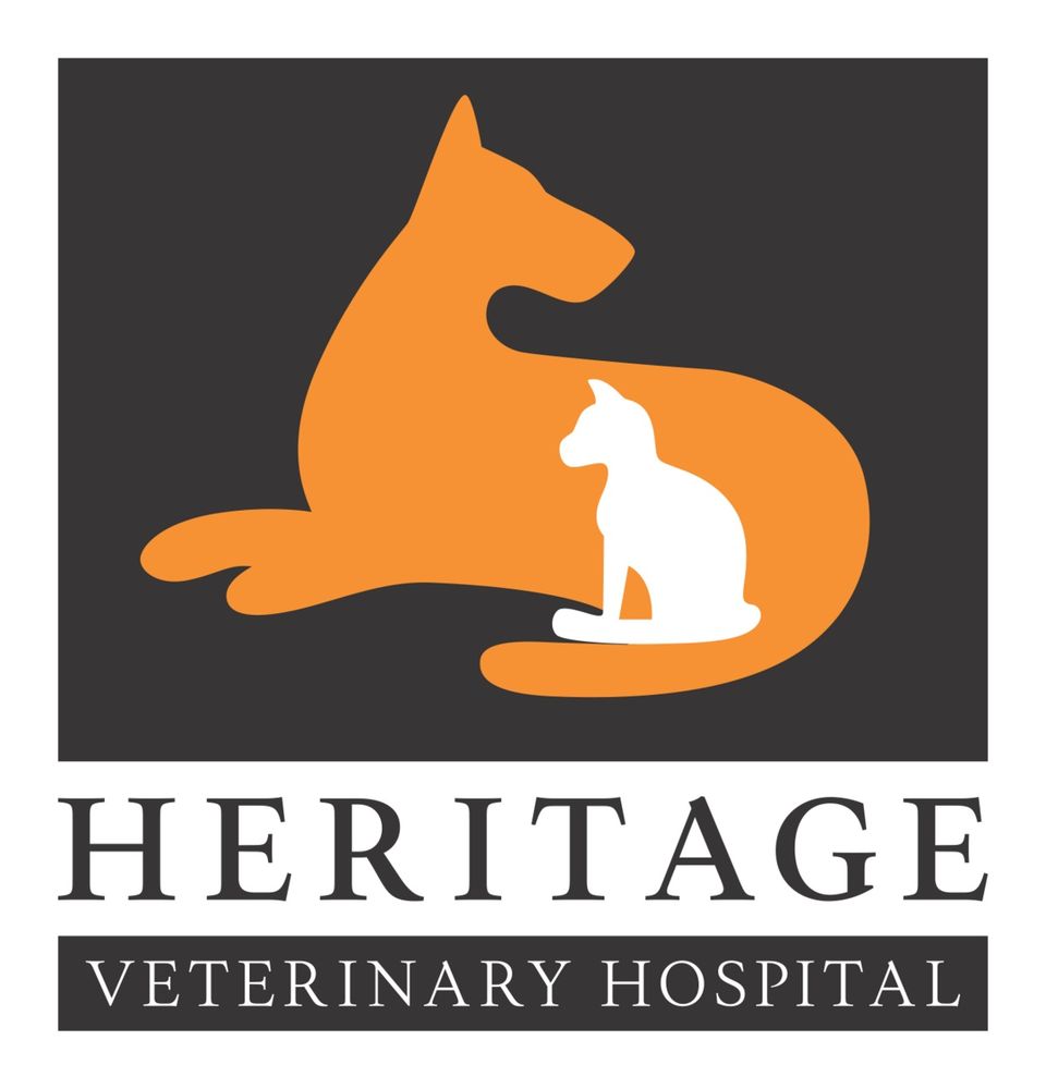 Companion Animal Hospital