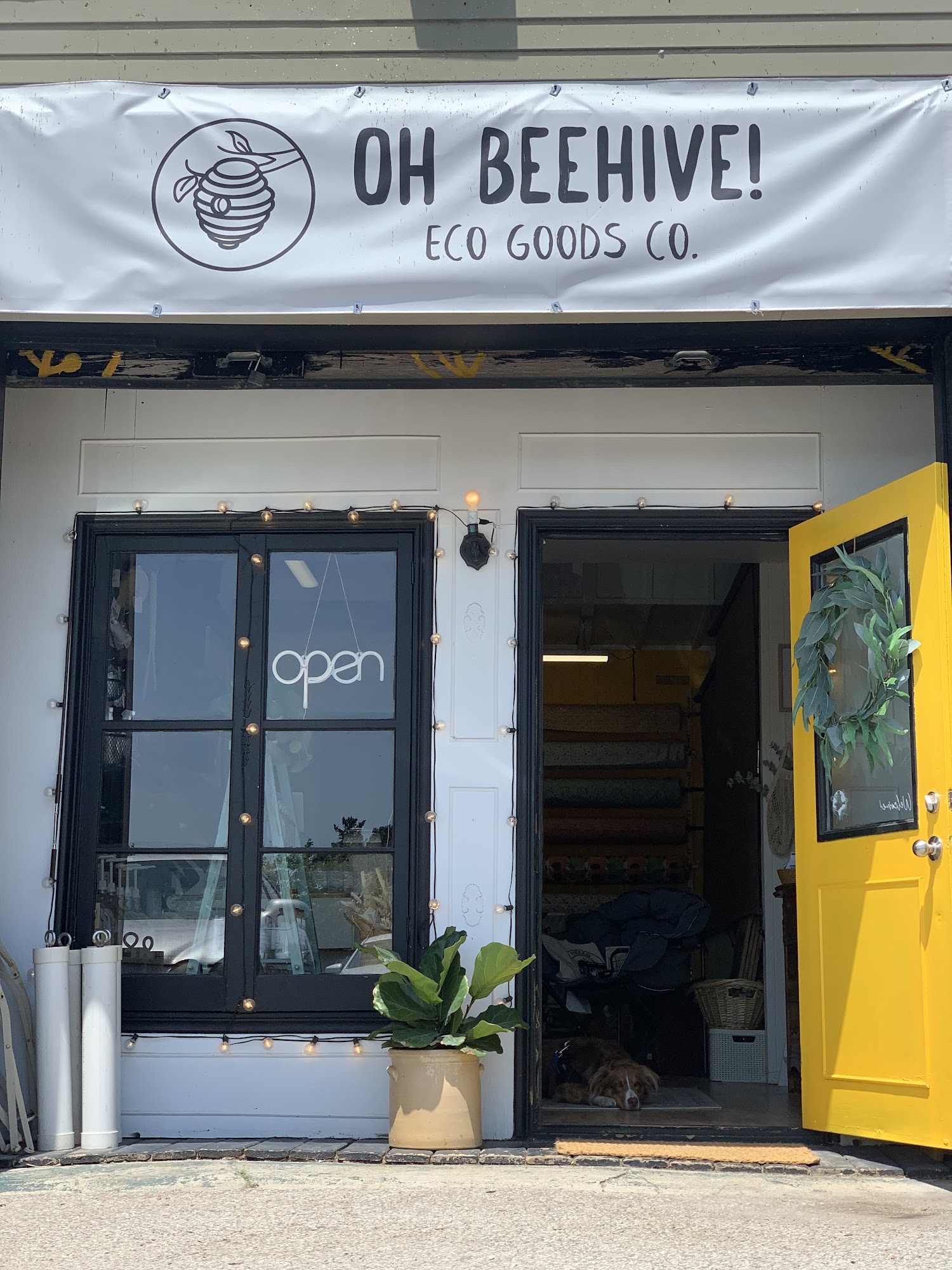 Oh Beehive! Eco Goods Co. and Refillery