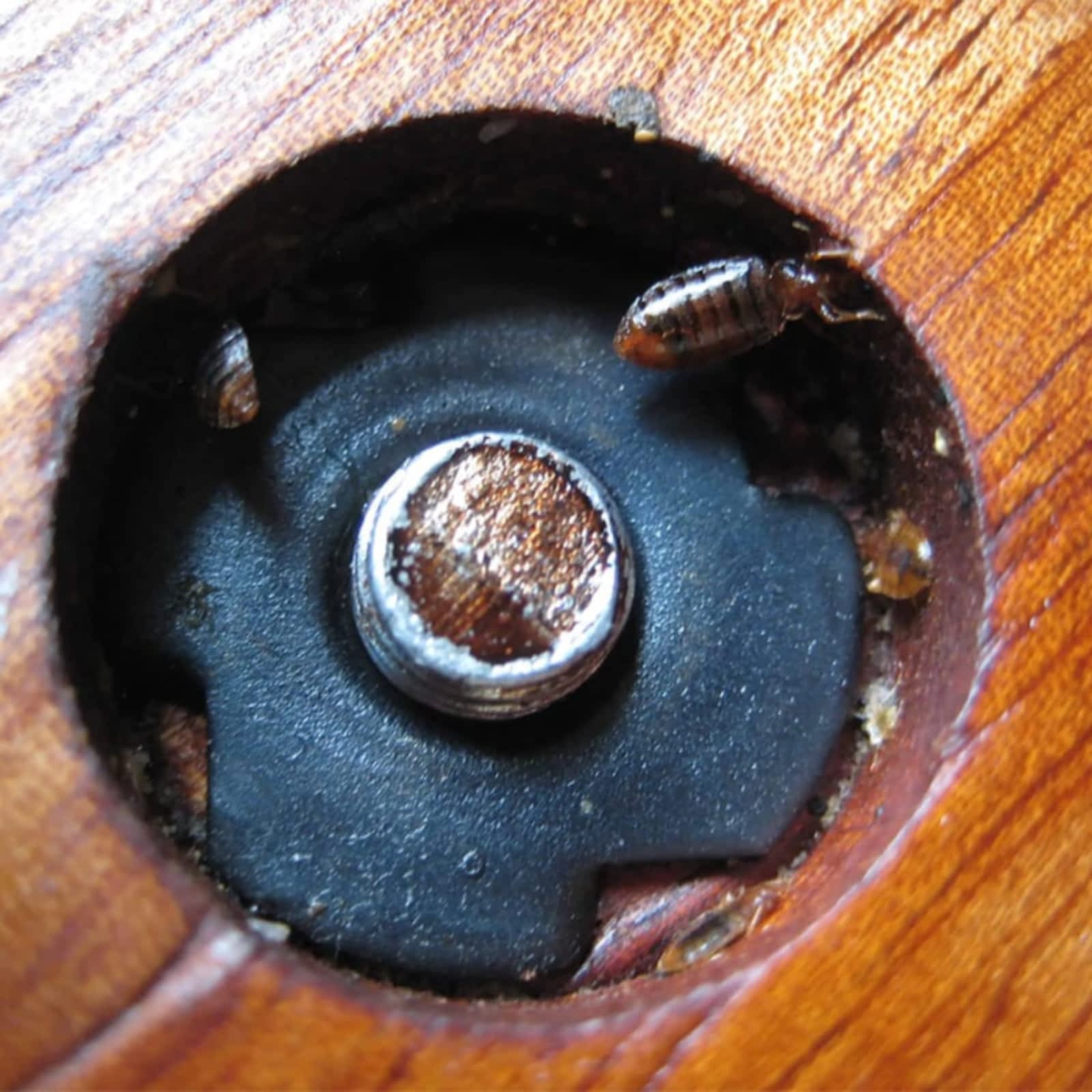 Photo credit: yellowpages.ca