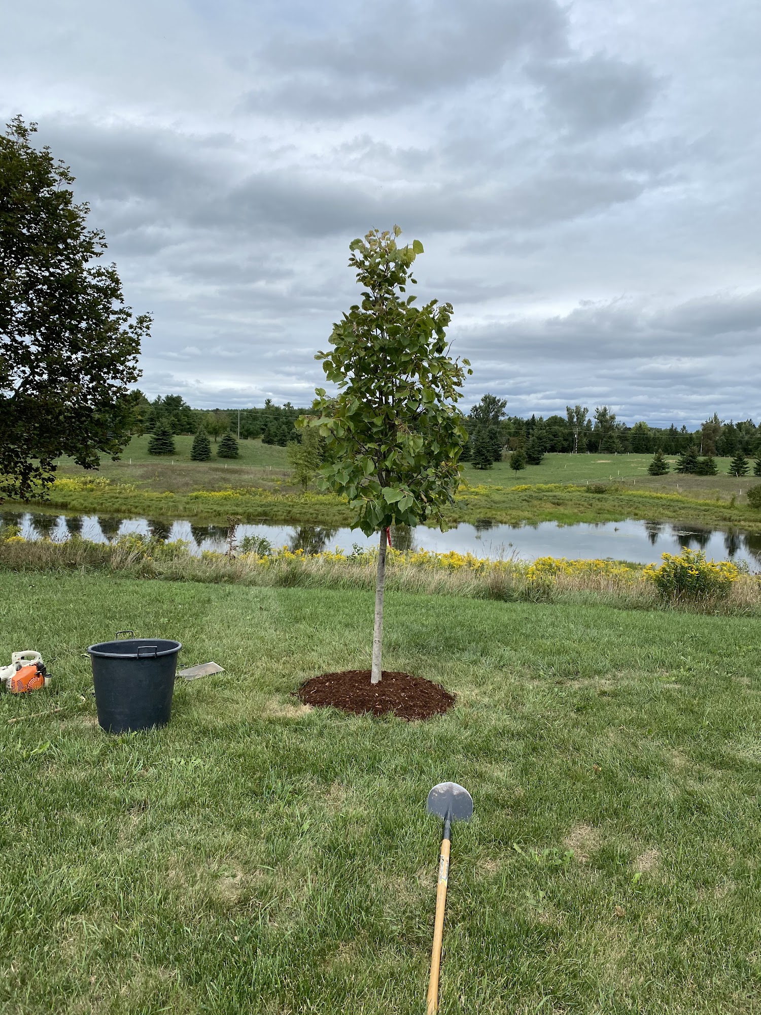 Ginkgo Ridge Lawn & Garden