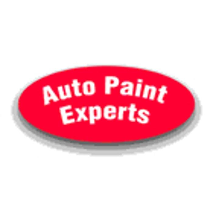 Auto Paint Experts