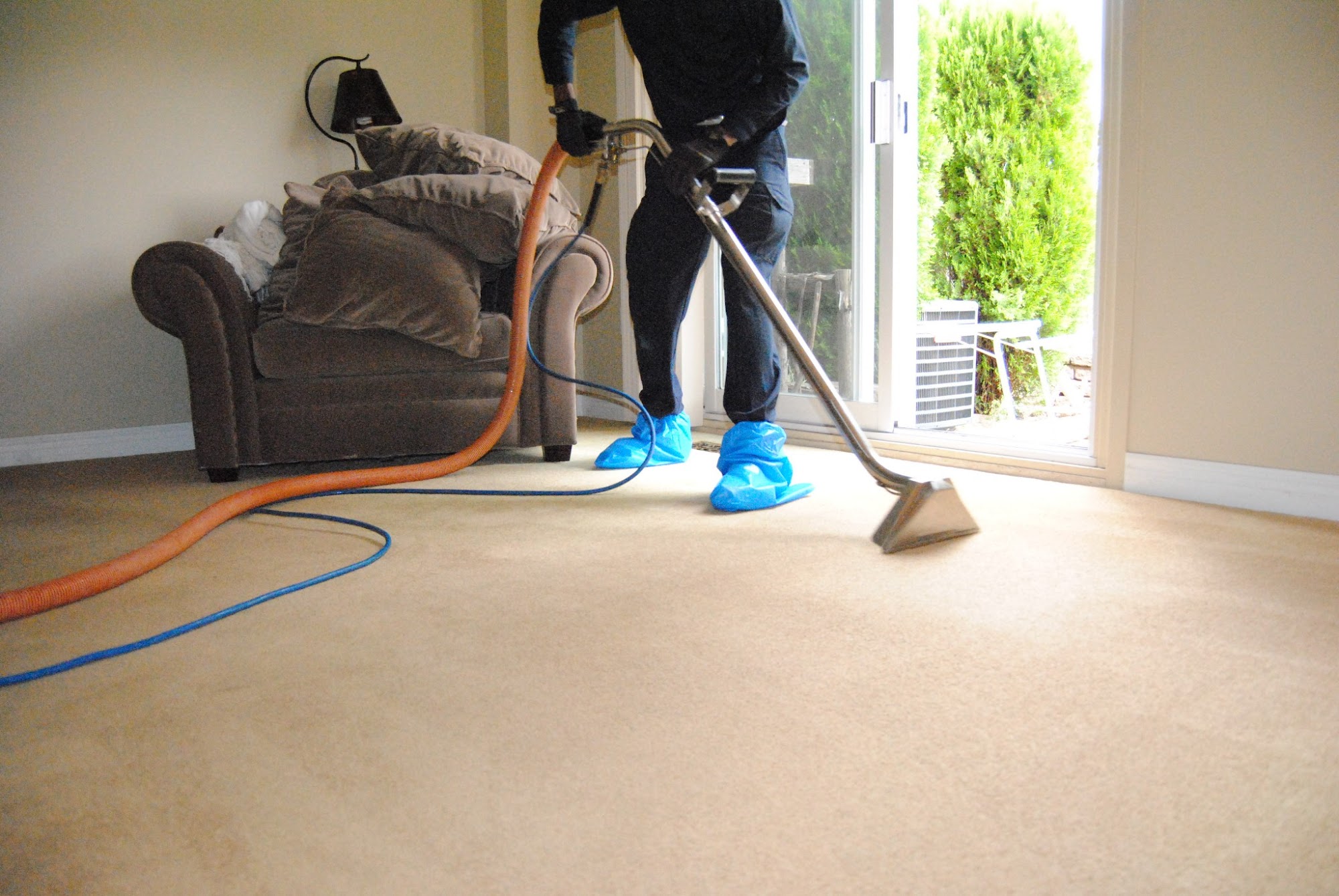 Fresh And Clean Carpet Cleaning Toronto