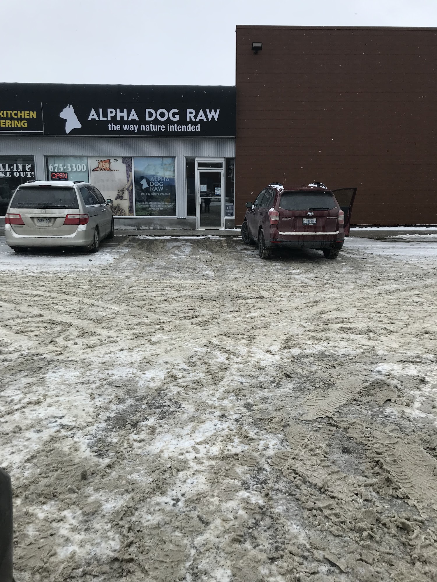 Alpha Dog Raw-North