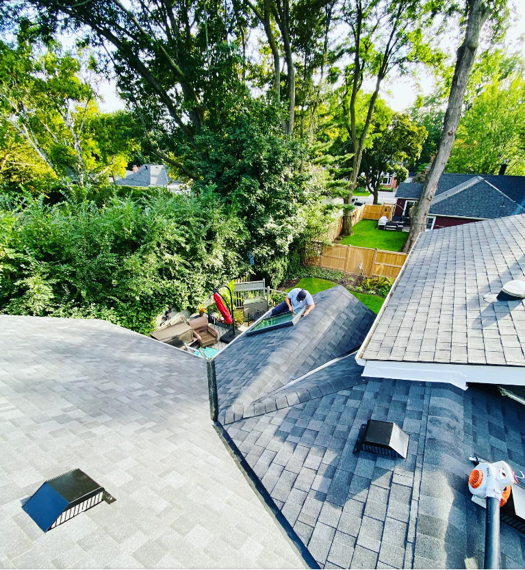 Pro Roofing Services