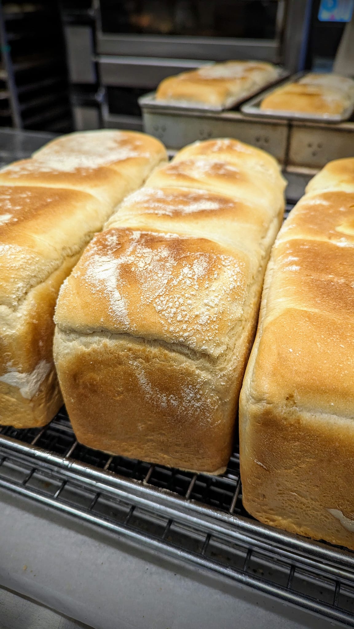 COBS Bread Bakery RioCan Centre Kingston