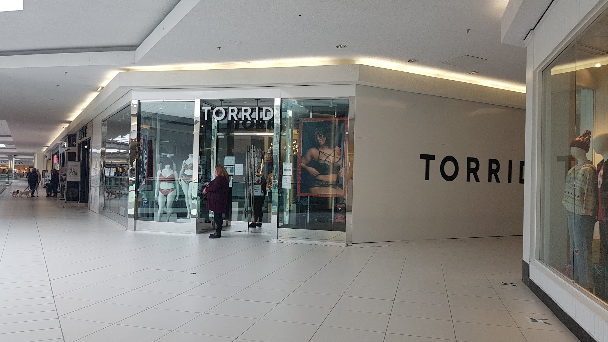 Torrid