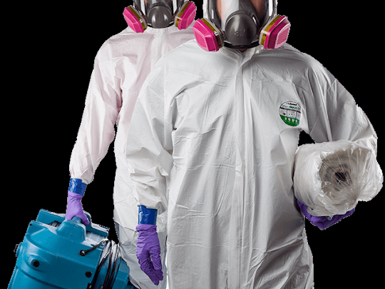 Mold Removal Kitchener - KW Black Mold Experts