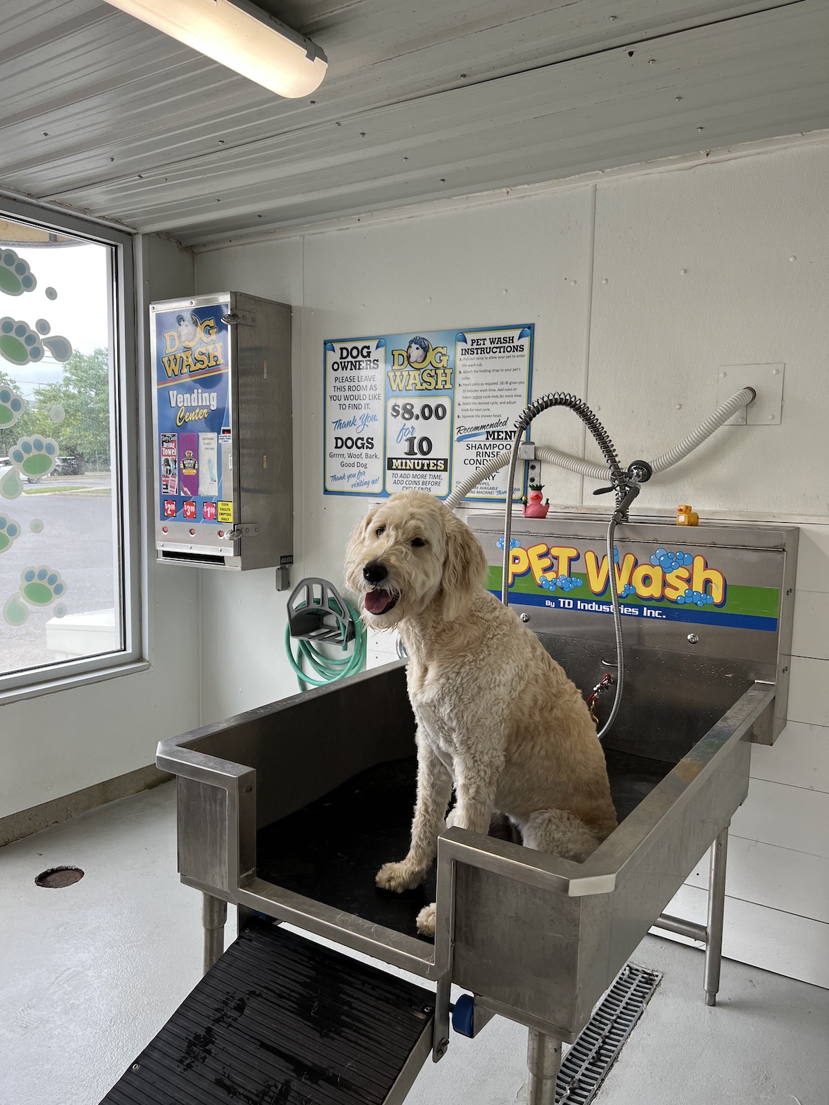 Auto Spa Self Serve Car Wash & Dog Wash