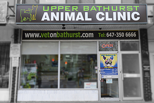 Upper Bathurst Animal Clinic
