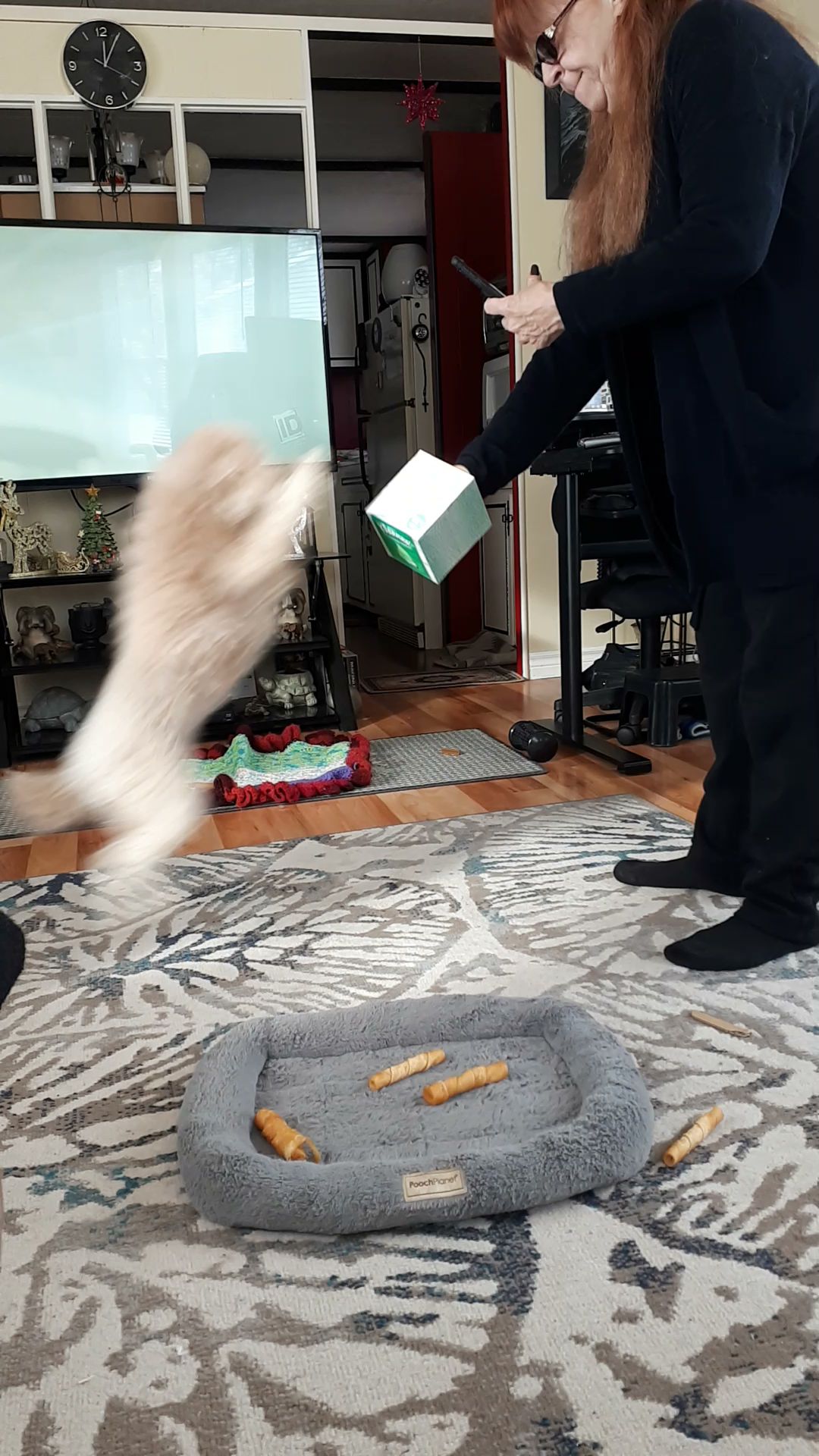 Graham Swales Dog Orillia