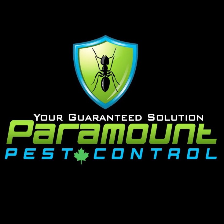 Photo credit: bestprosintown