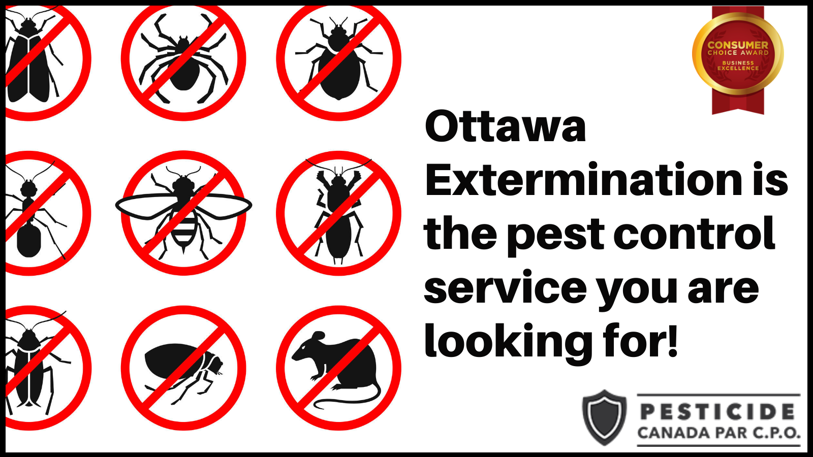 CPO Pest Control Ottawa