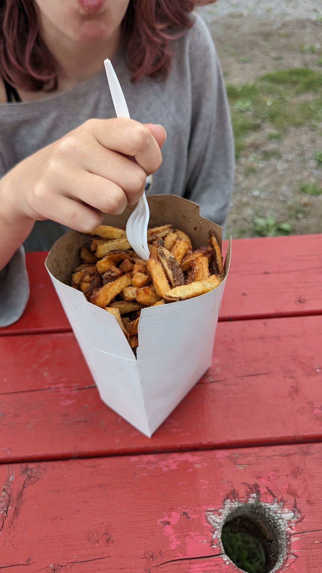 Jax's RedBus French Fries