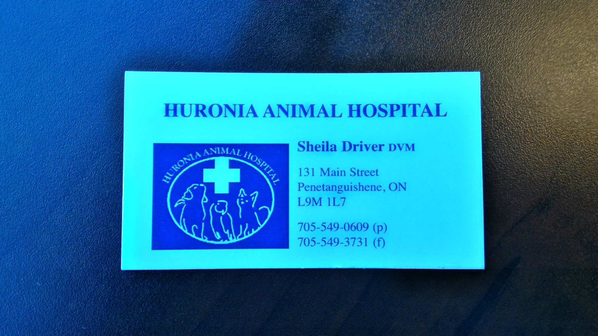 Huronia Animal Hospital 131 Main St, Penetanguishene Ontario L9M 1L7