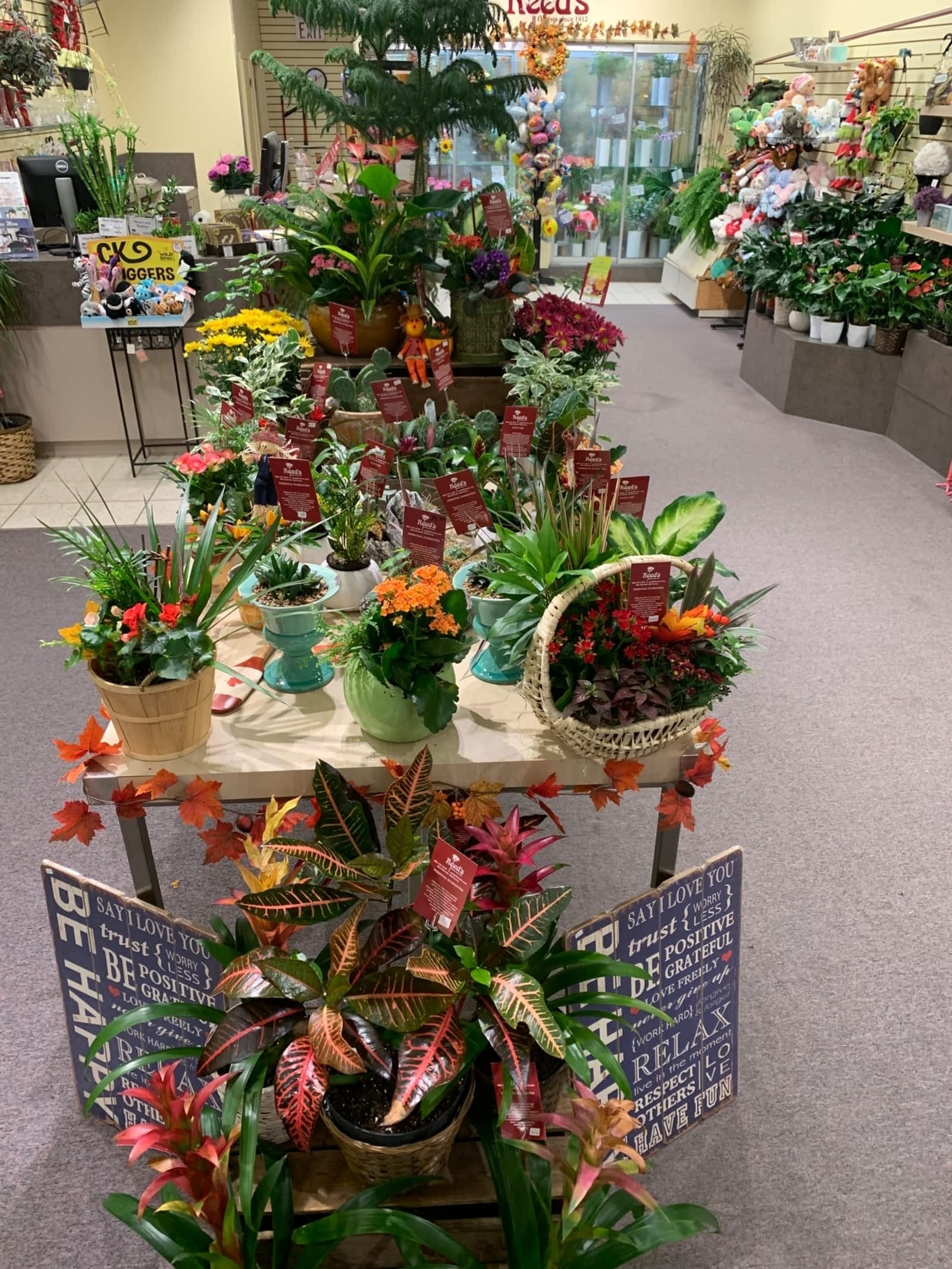 Photo credit: yellowpages.ca