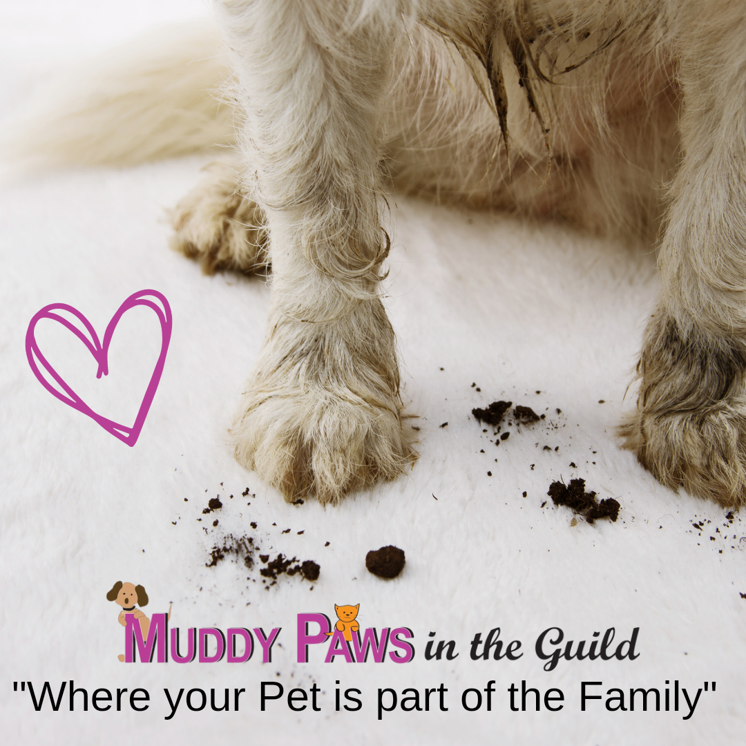 Muddy Paws Pet Food, supplies & Grooming Salon