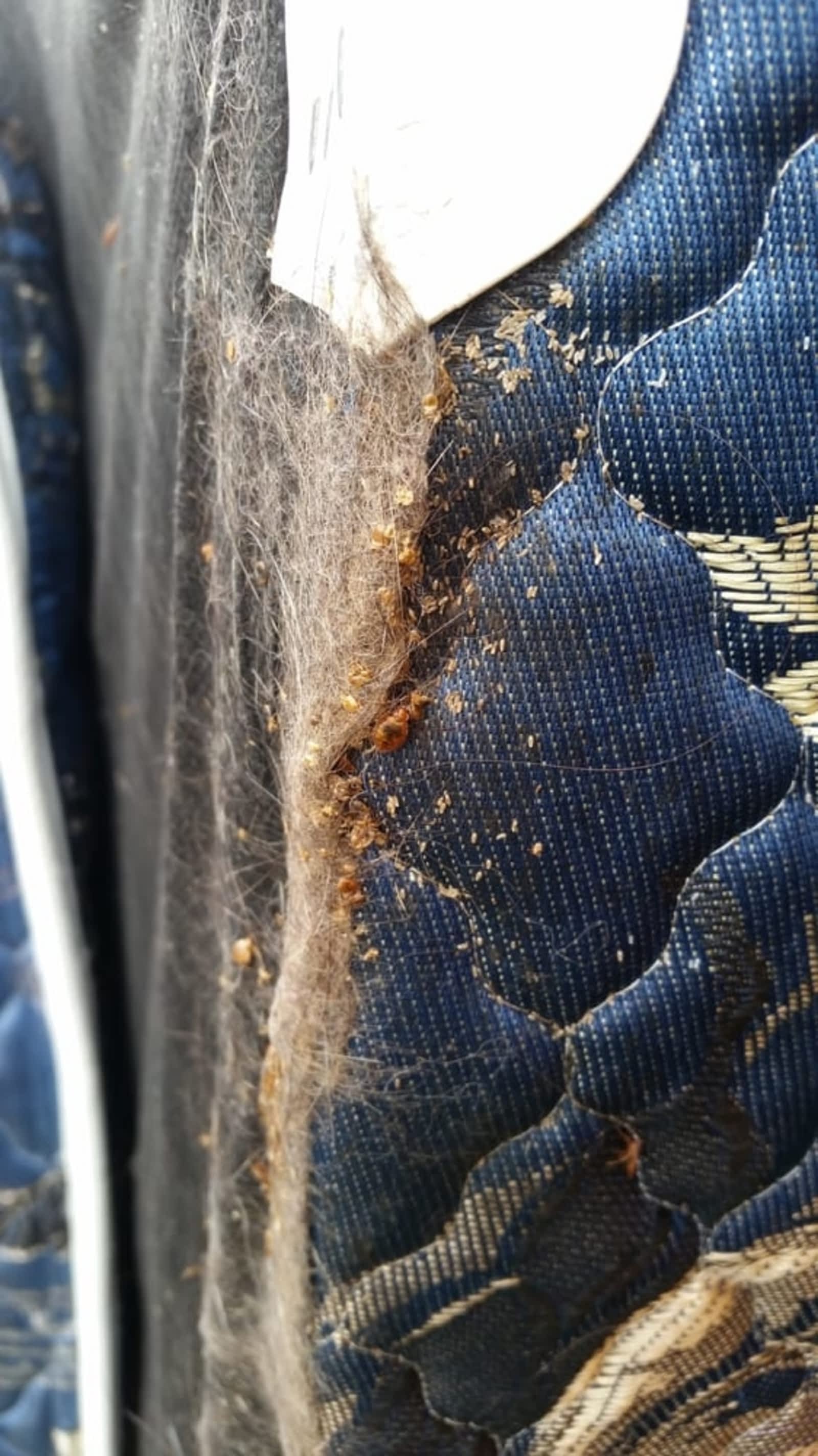 Photo credit: yellowpages.ca