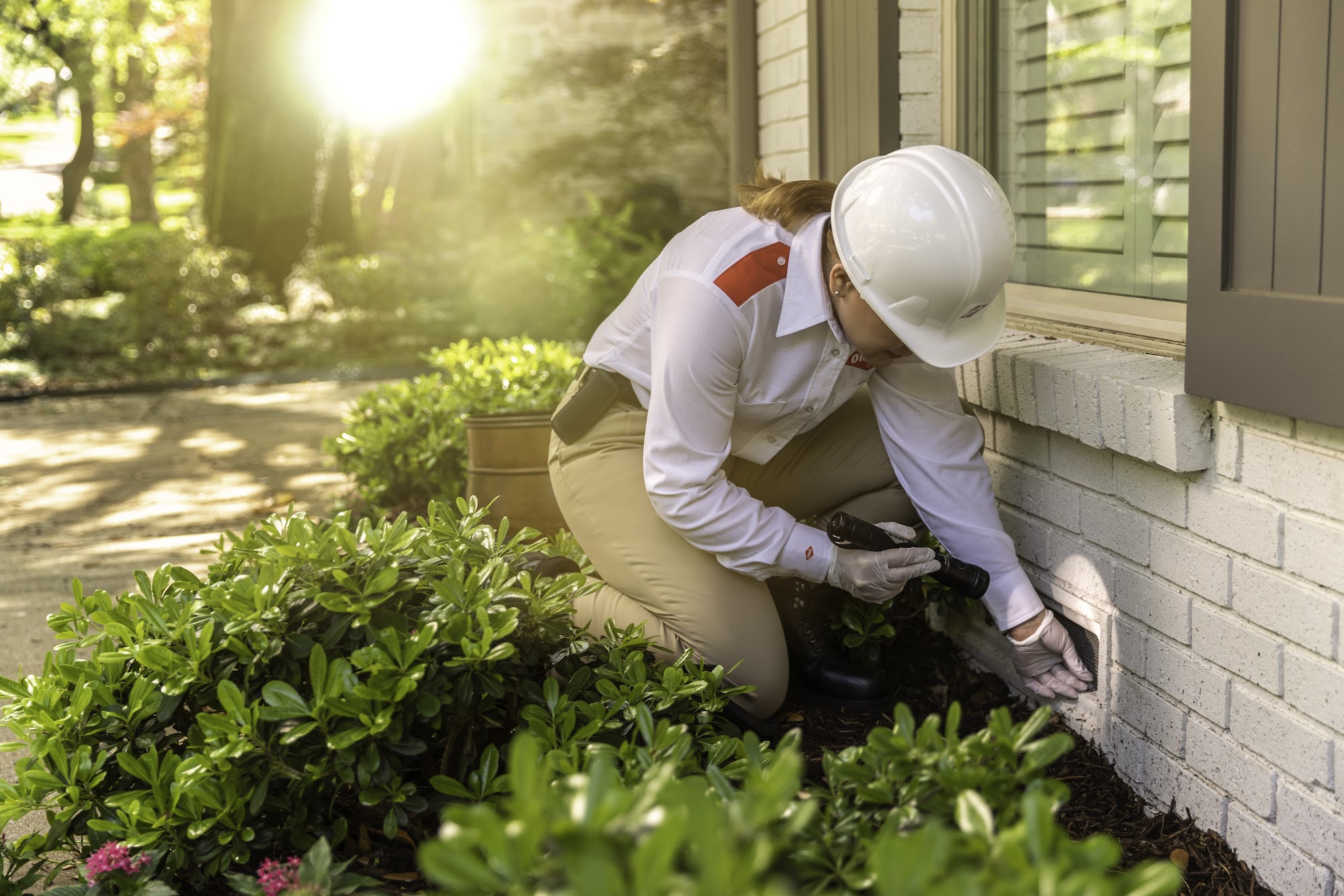 Orkin Canada Pest Control