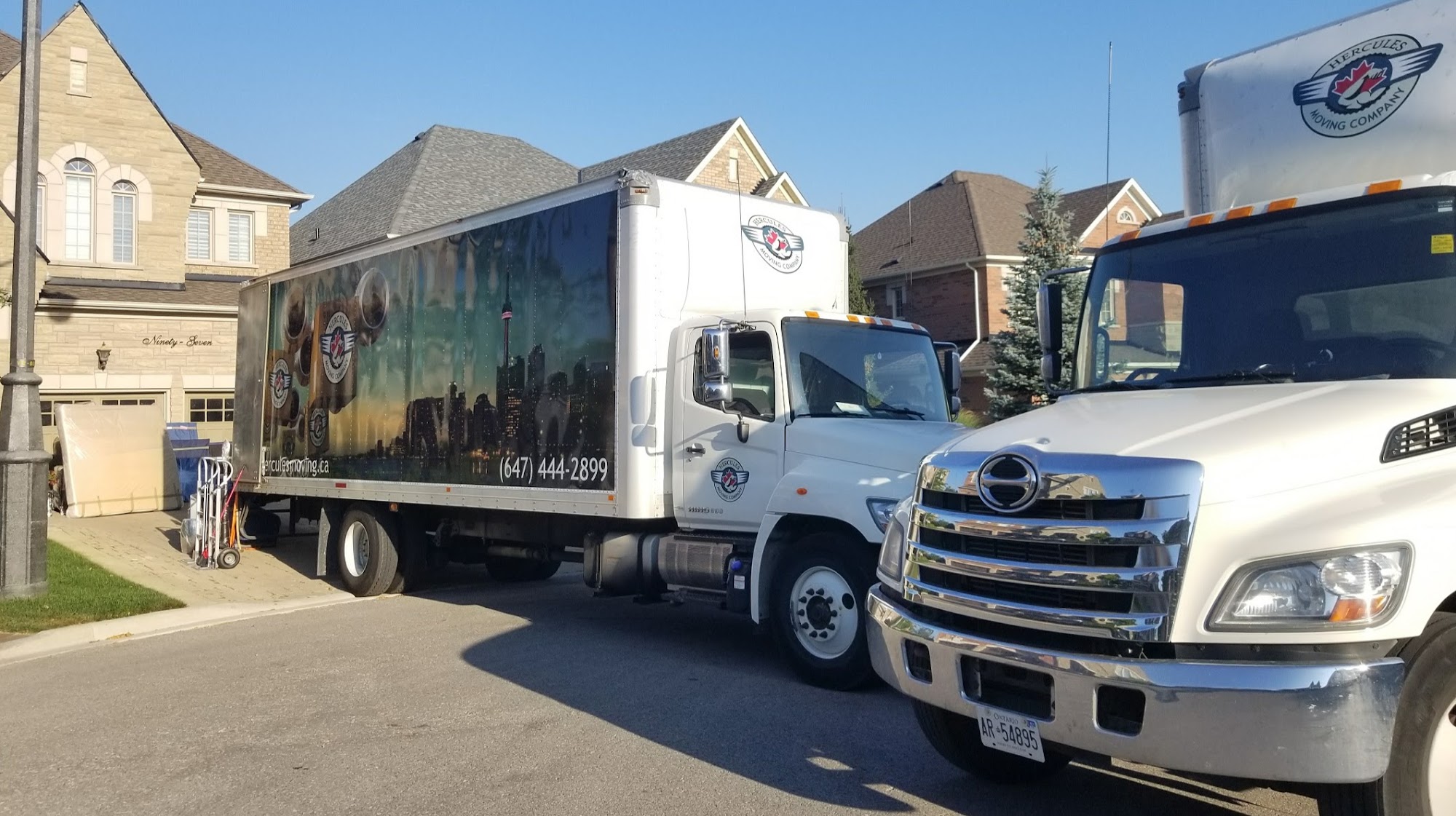 Toronto Movers | Hercules Moving Toronto