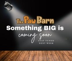 The Paw Barn