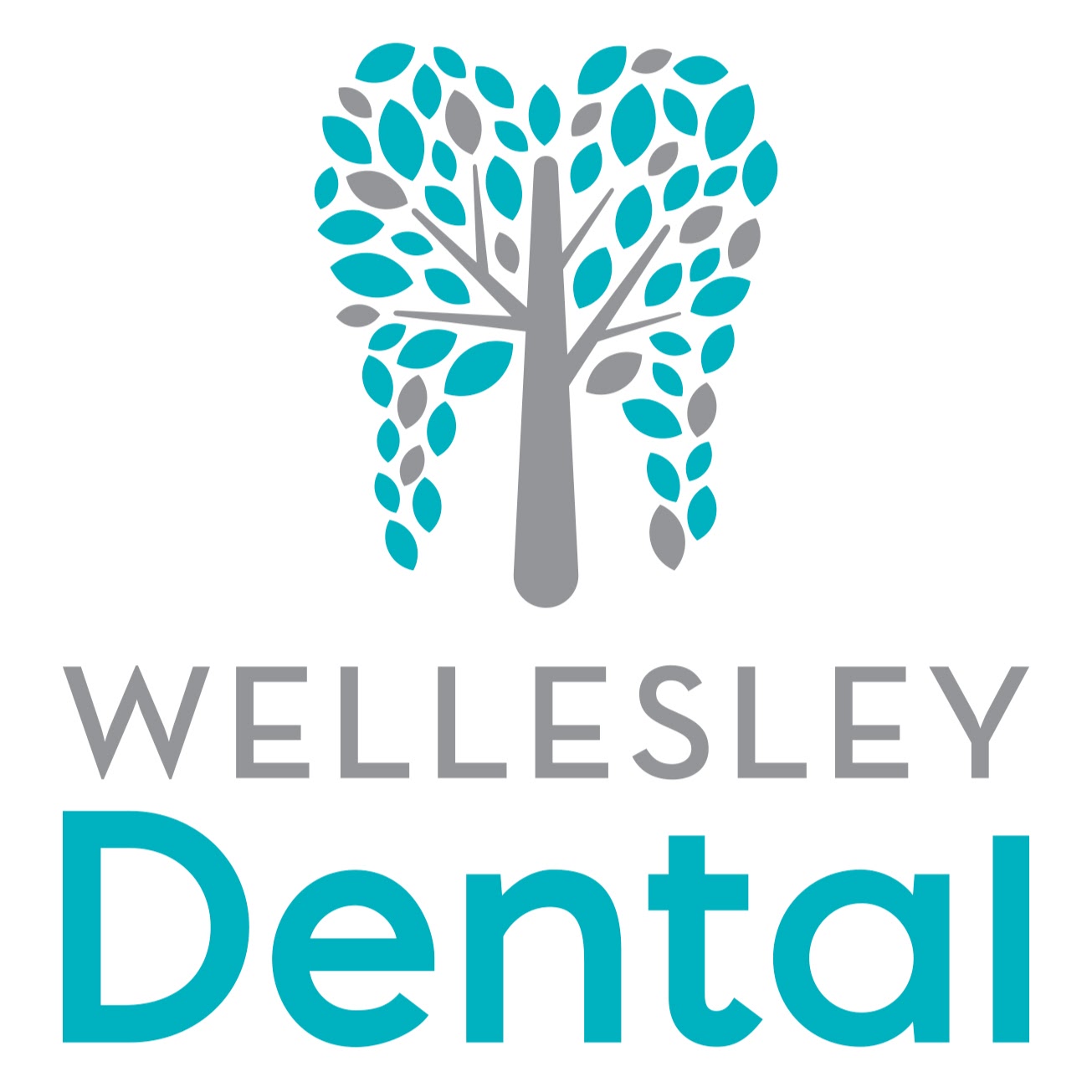 Wellesley Dental 1215 Queens Bush Rd #2, Wellesley Ontario N0B 2T0