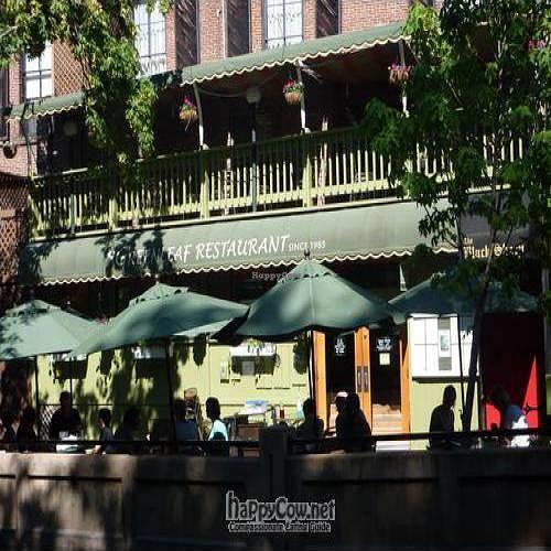 Photo credit: happycow