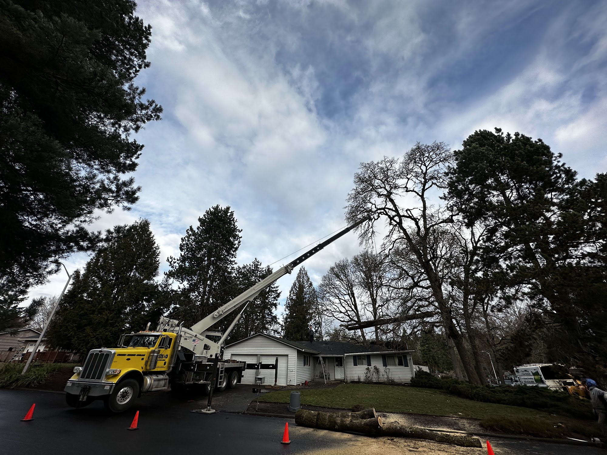 Oregon Tree Service 19009 NW Green Mountain Rd, Banks Oregon 97106