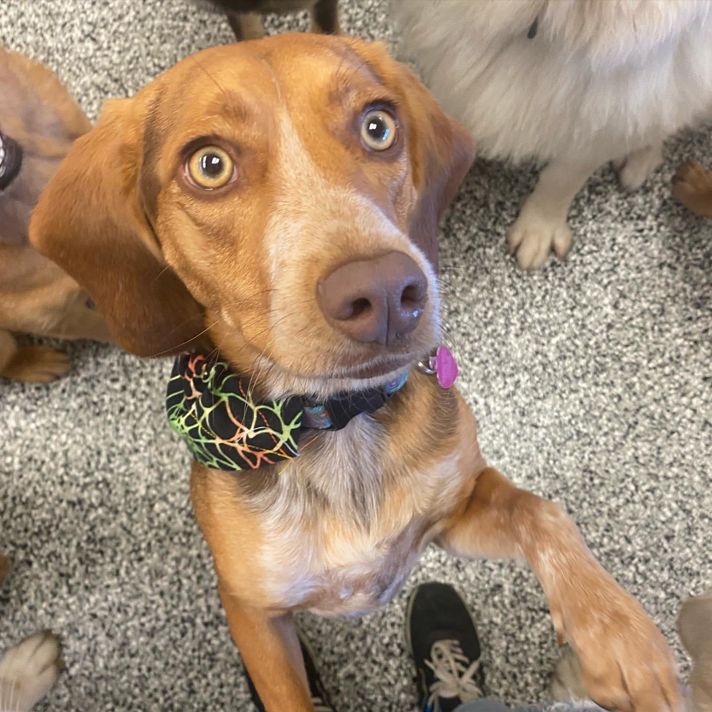 Barklandia Beaverton