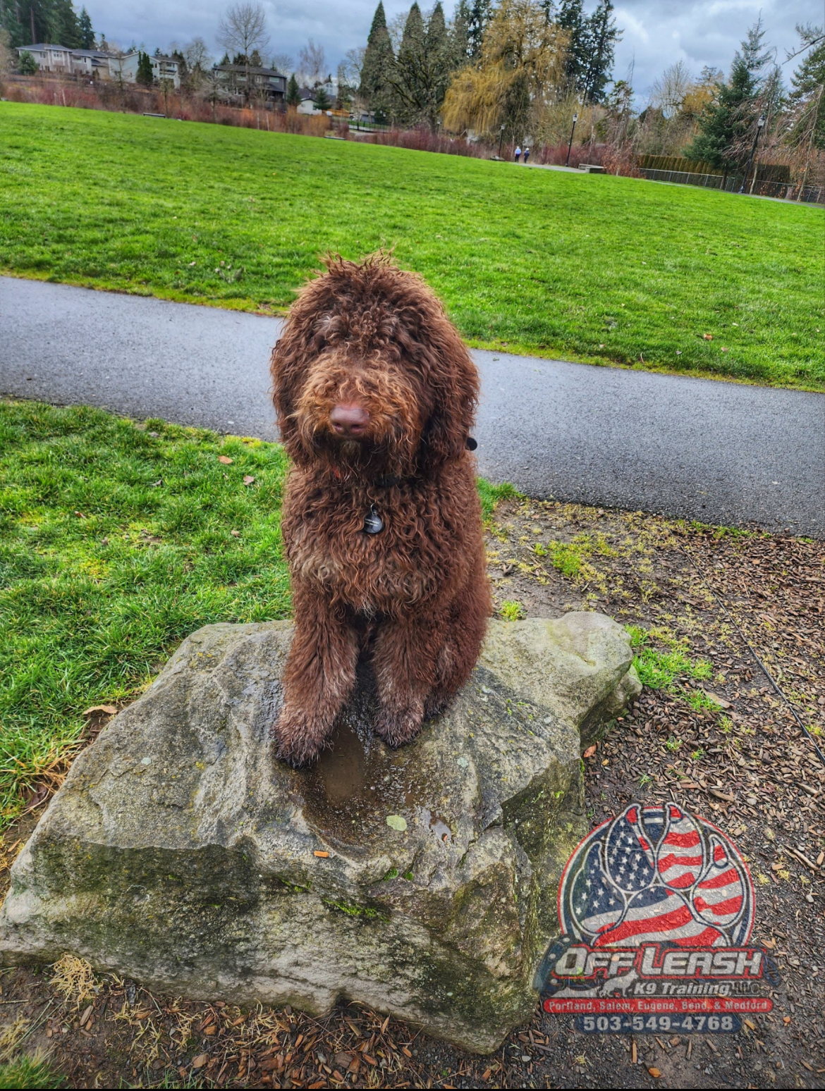 Off Leash K9 Training LLC Beaverton