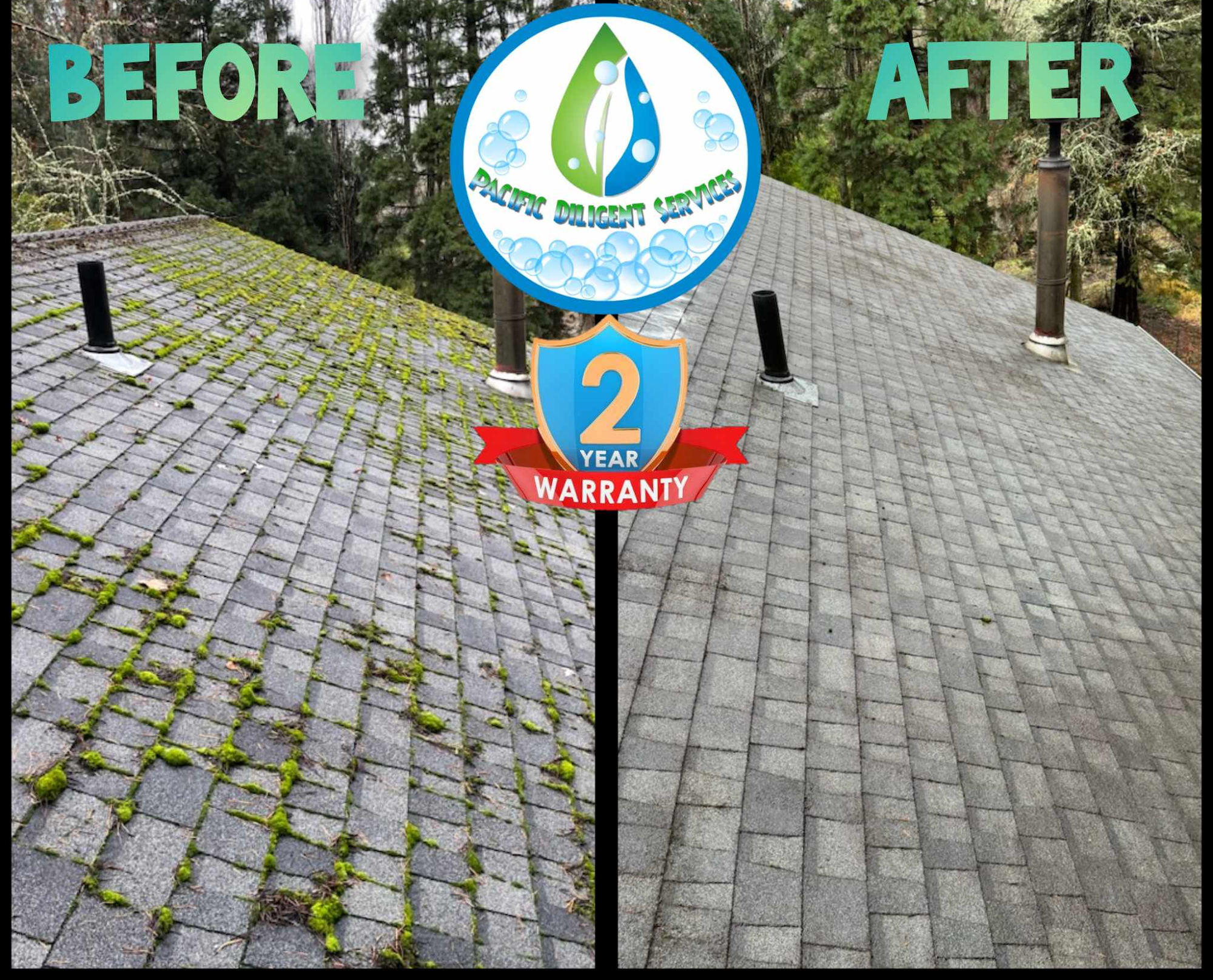 Pacific Diligent Services Roof Moss Removal & Gutter Cleaning