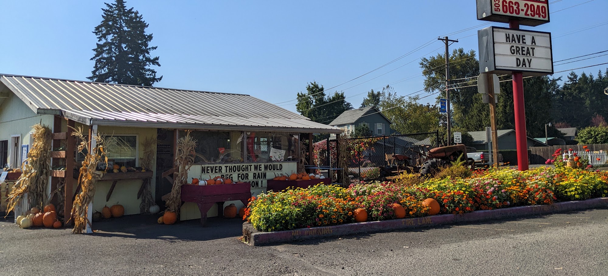 Schedeens Farm Fresh Produce