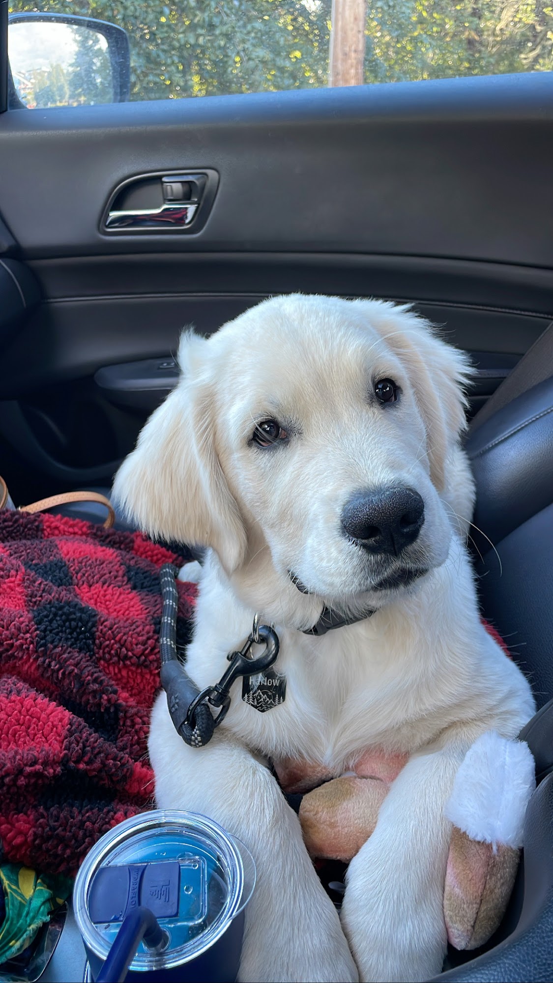 Lois Bates Acheson Veterinary Hospital: Large Animal Services Corvallis