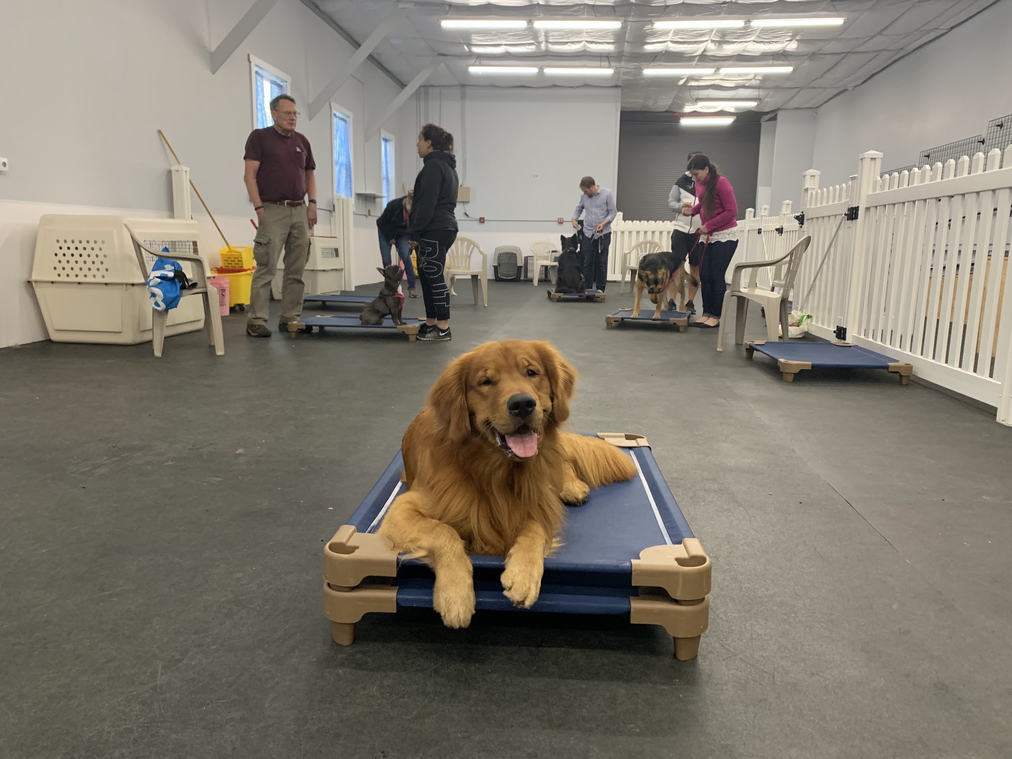 Best Friends Obedience & Agility School Corvallis