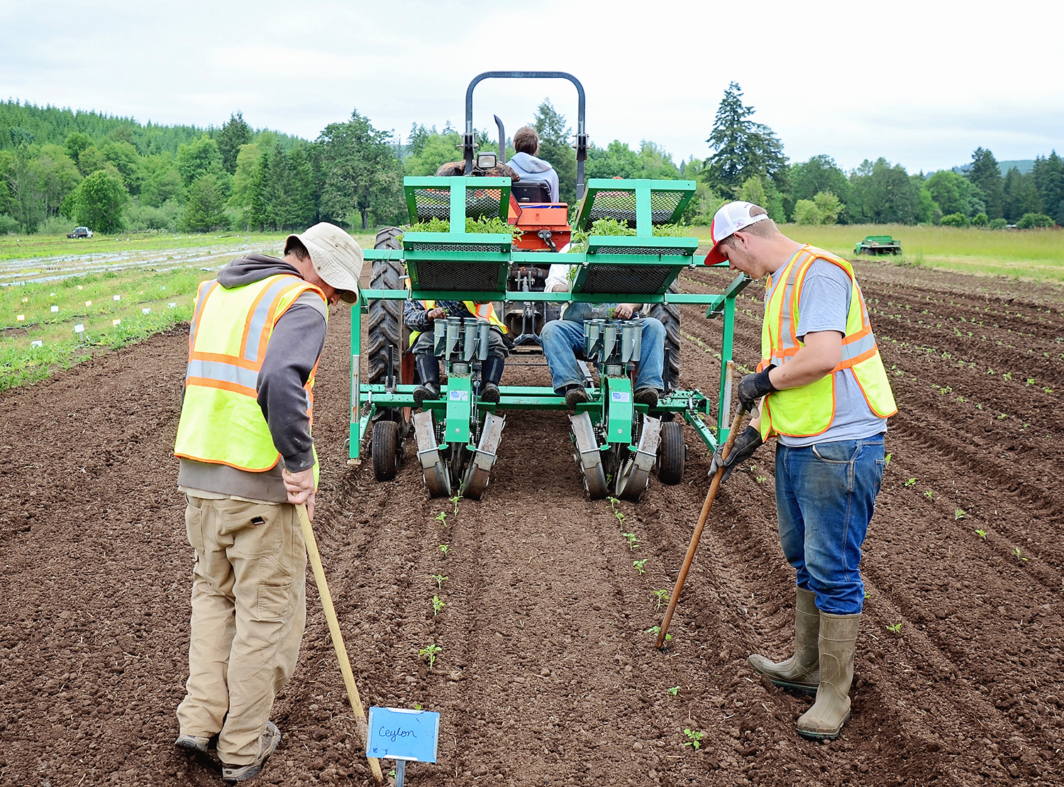 Territorial Seed Company Store 20 E Palmer Ave, Cottage Grove Oregon 97424