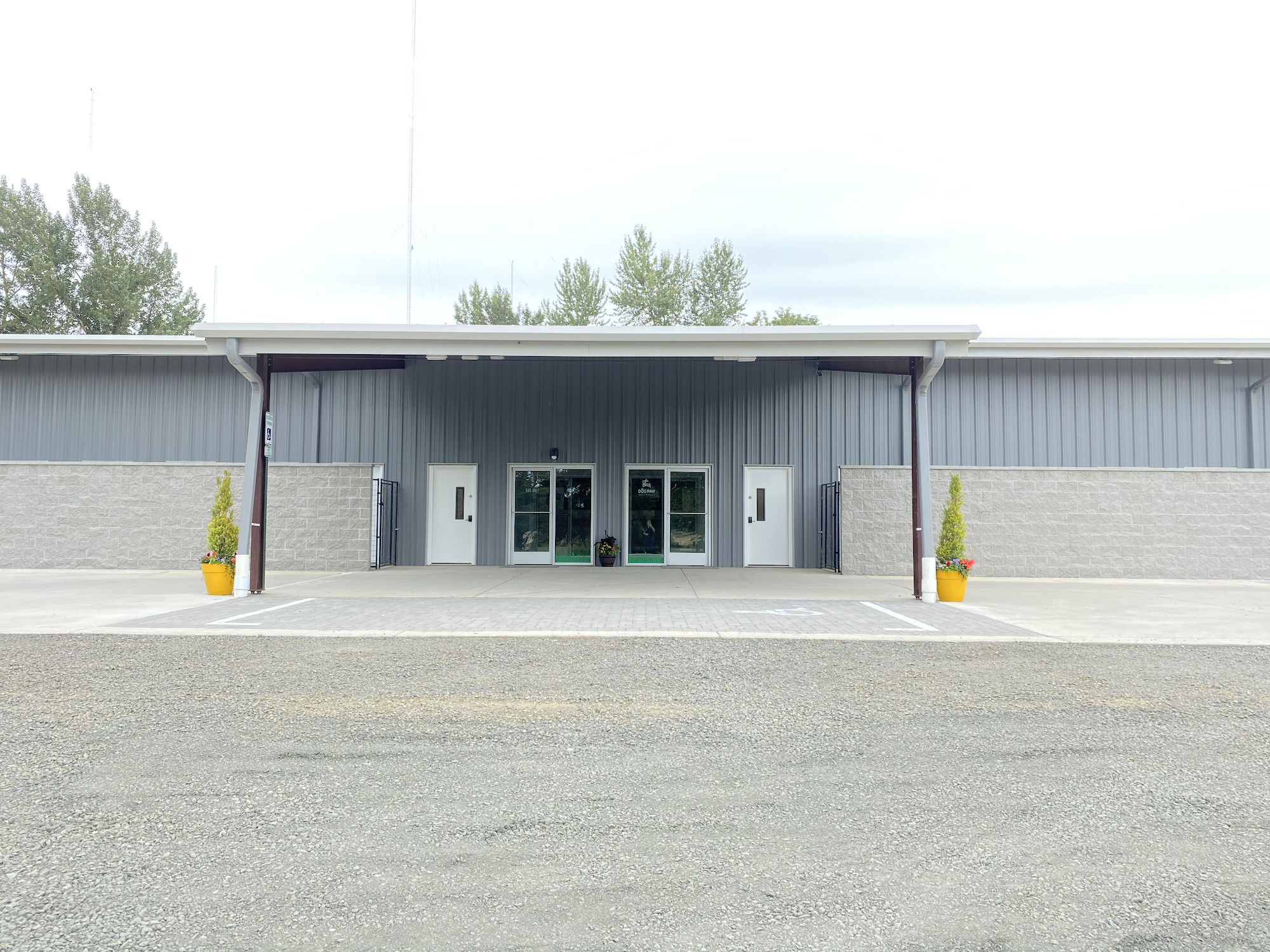 Dog Paw Daycare Eugene