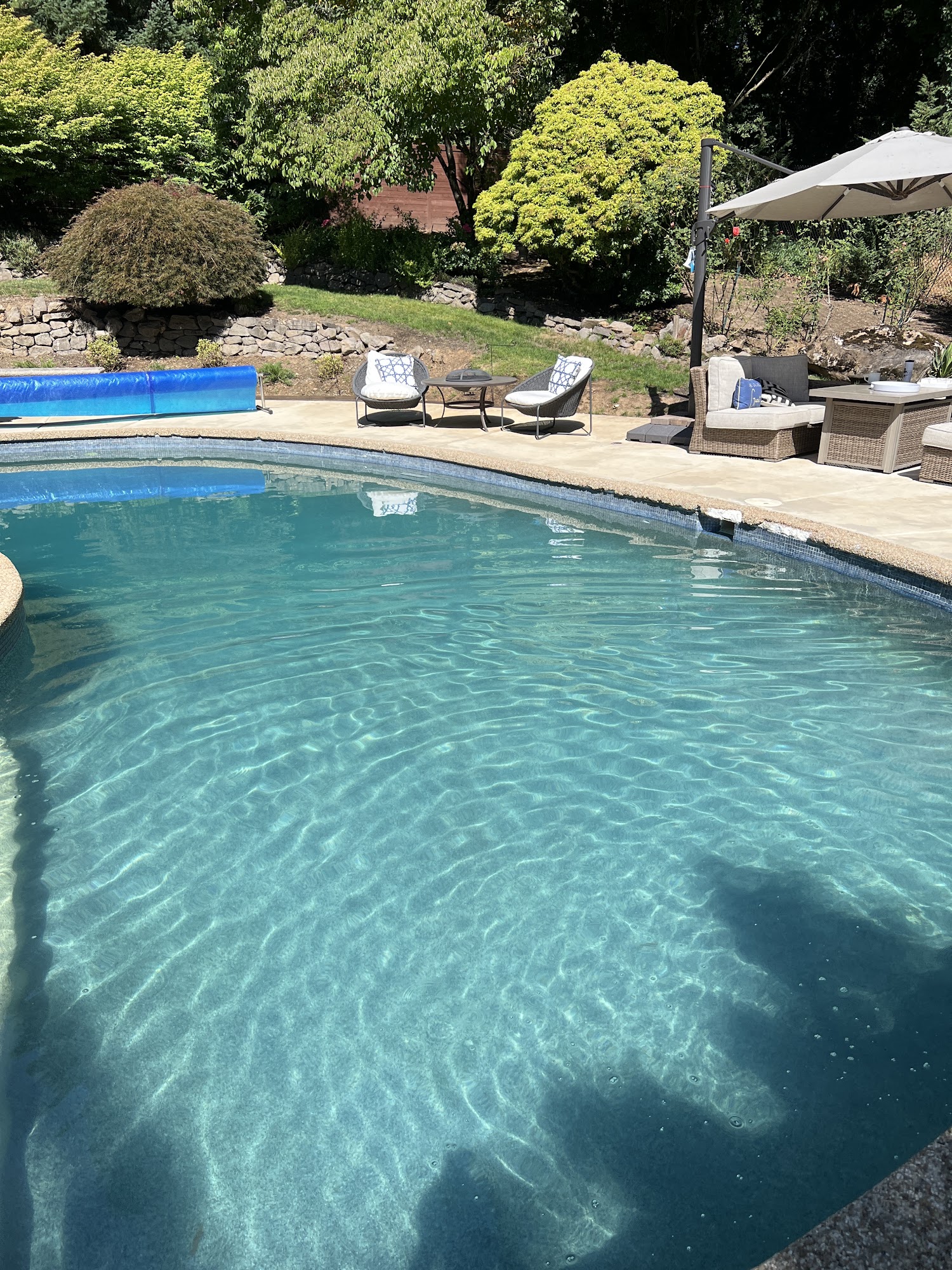 Teresa's Pool and Spa Care 5954 Duniway Ave, Gladstone Oregon 97207