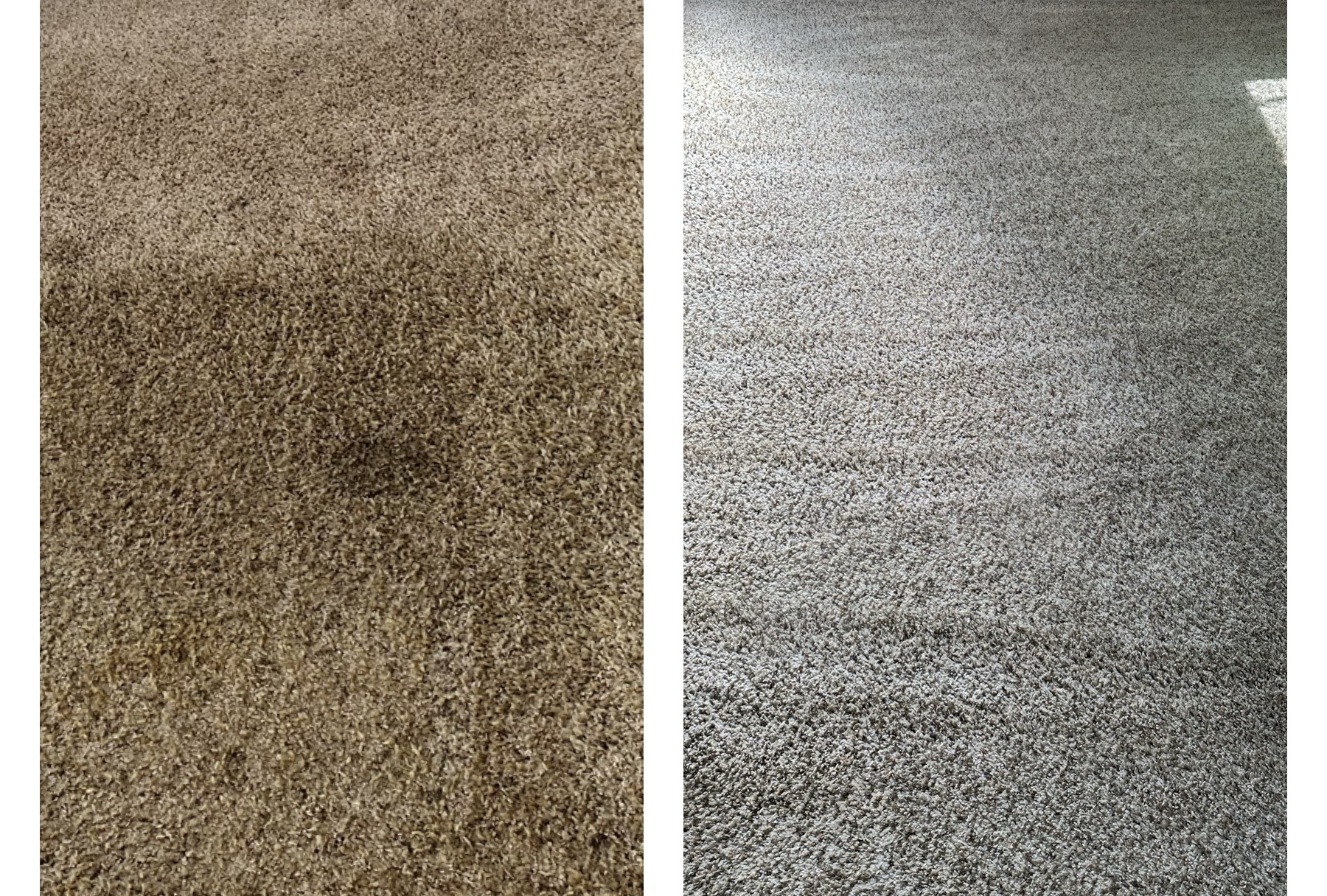 Palma Carpet Cleaning Services LLC