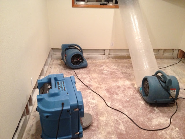ACE Mold Inspection and Restoration | Mold Remediation Medford