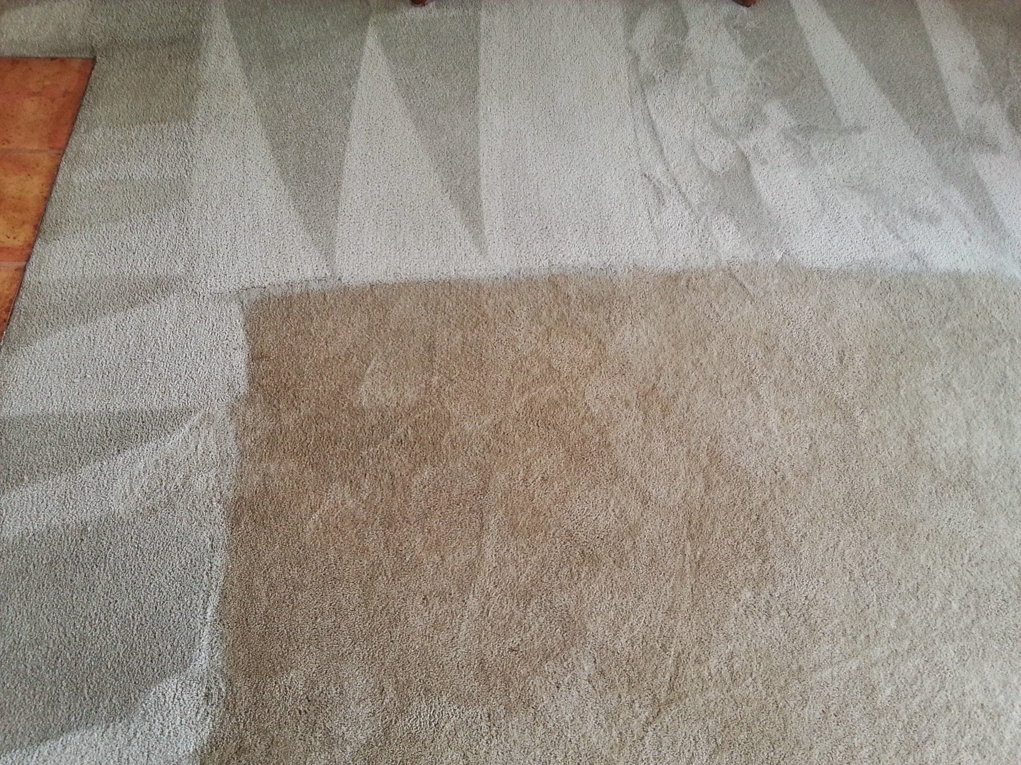 A Clean Choice Carpet Cleaning Inc.