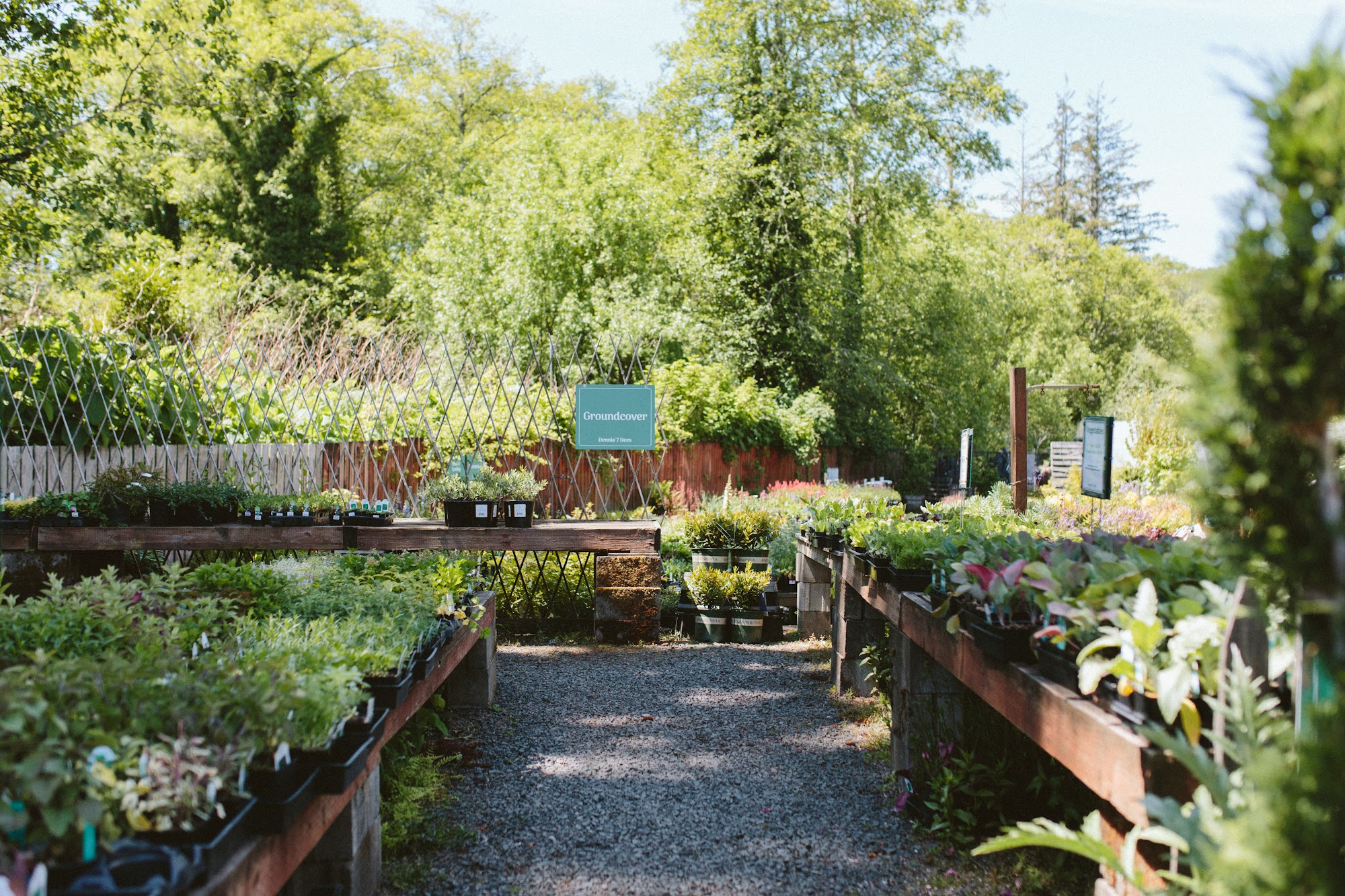 Dennis' 7 Dees Garden Center 84794 US-101, Seaside Oregon 97138