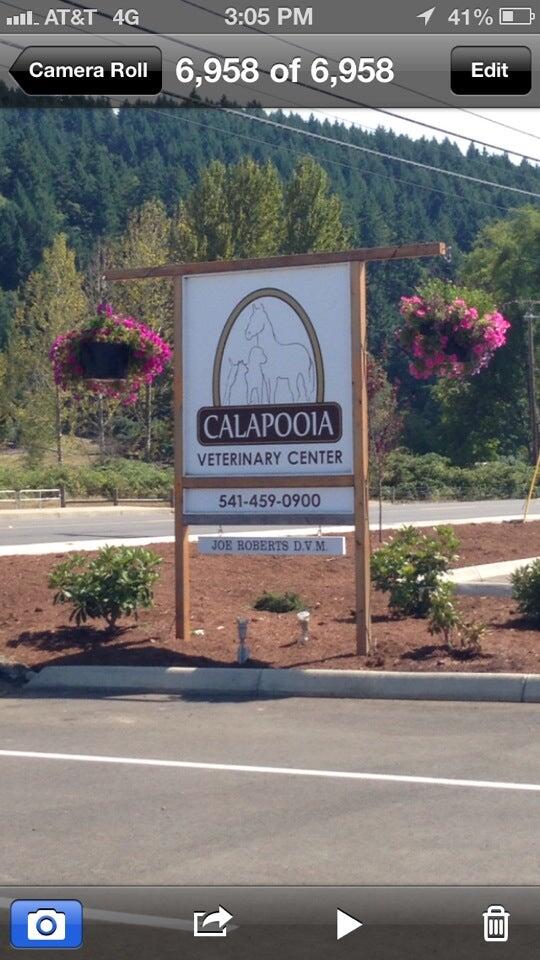 Calapooia Veterinary Center 835 S Calapooia St, Sutherlin Oregon 97479