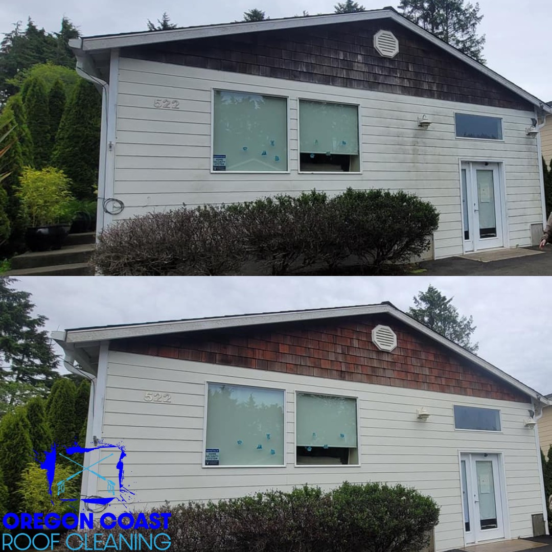 Oregon Coast Roof Cleaning 1095 Skyline Dr, Tillamook Oregon 97141