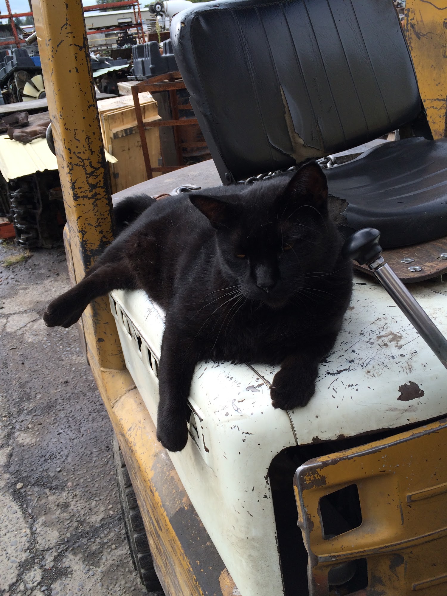 ENGINE REBUILDERS SUPPLY (AKA ERS) in the back, 2050 NW Marine Drive