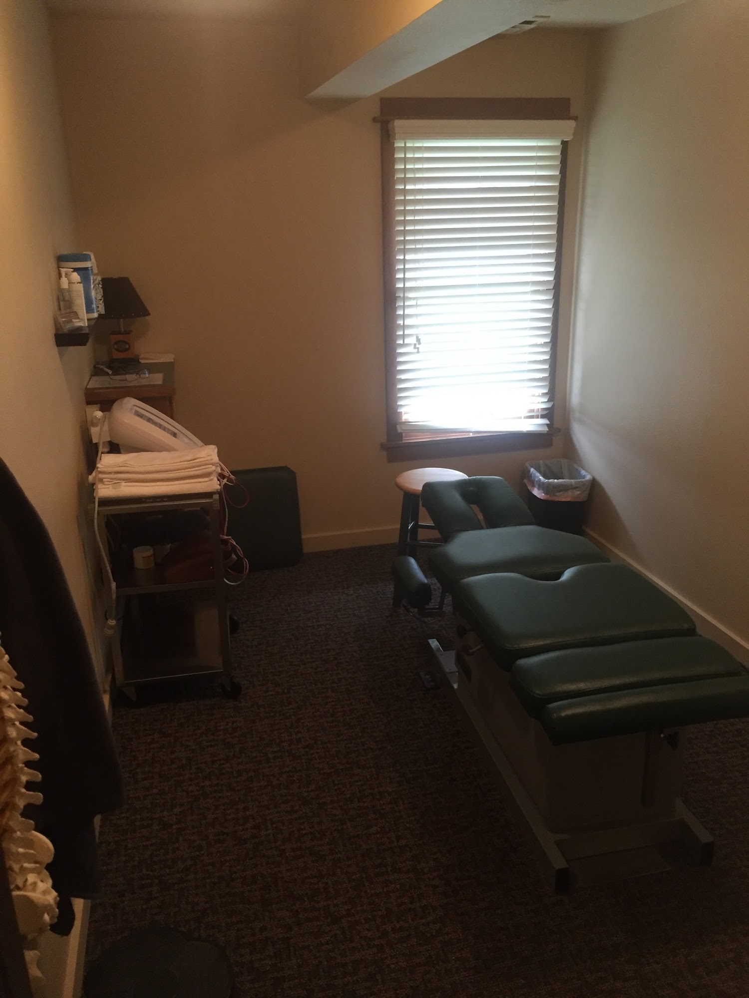 Columbia Pacific Chiropractic 679 E Harbor Dr #140, Warrenton Oregon 97146