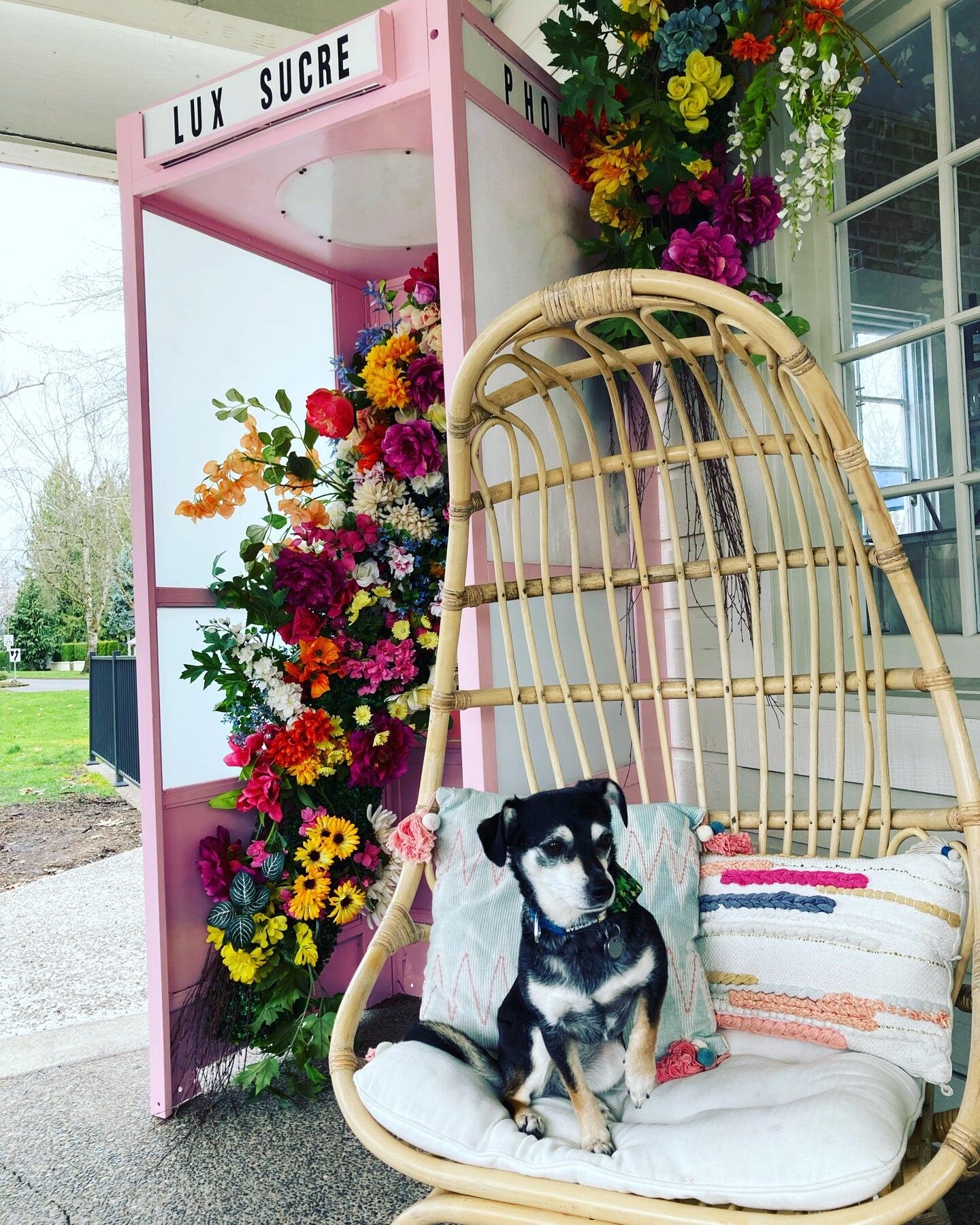 Photo credit: nextdoor