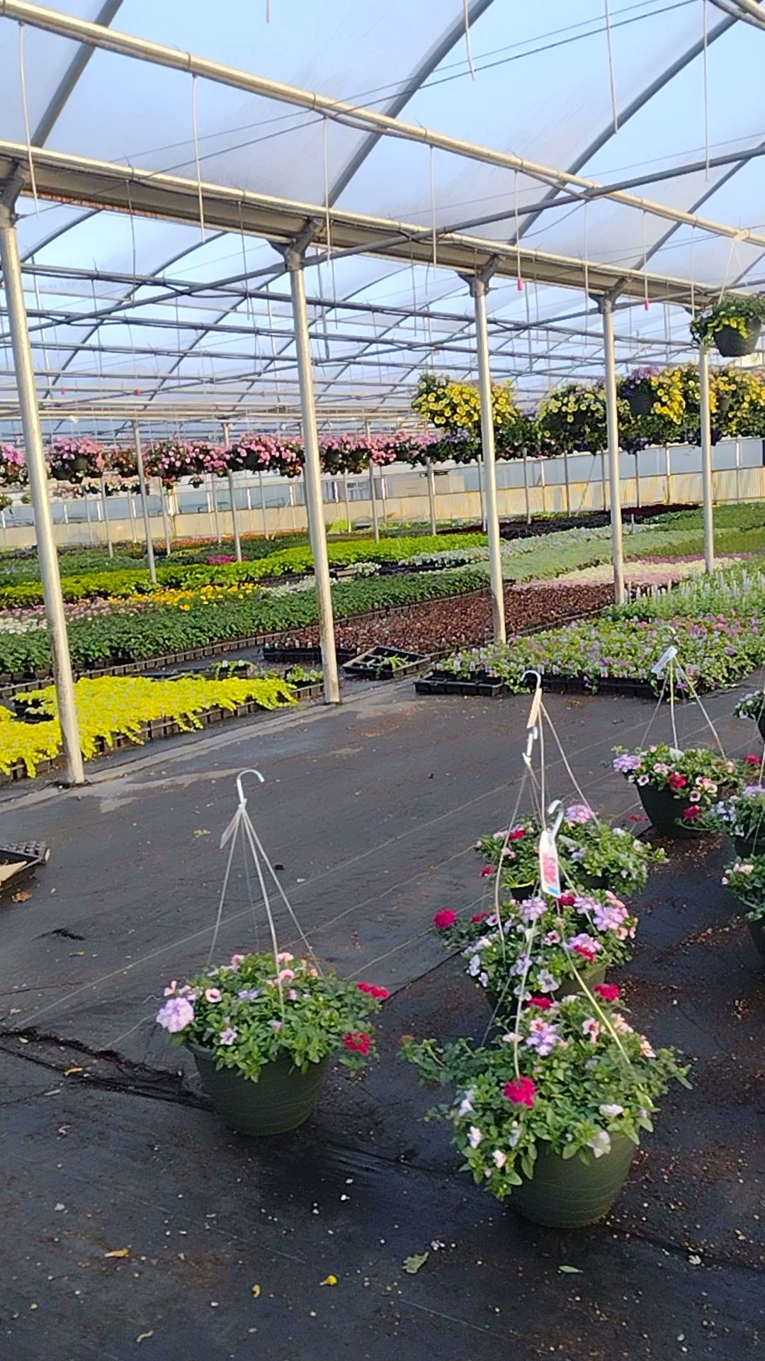 Fessler Nursery