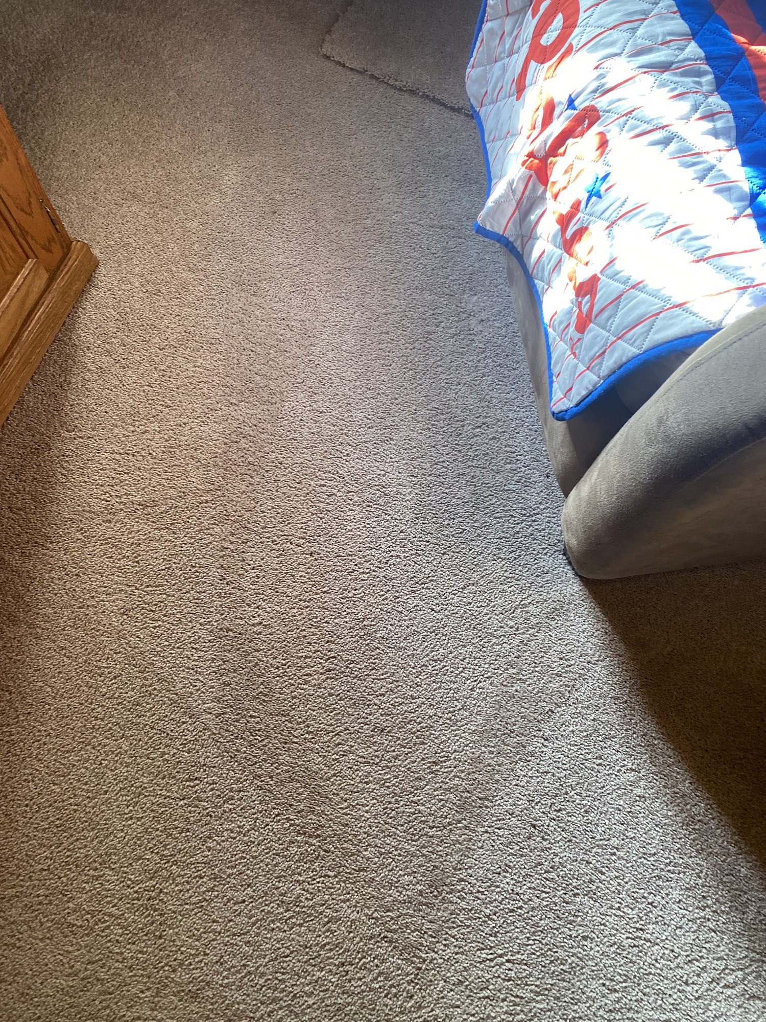 JDog Carpet Cleaning & Floor Care Aston & Southern Chester County