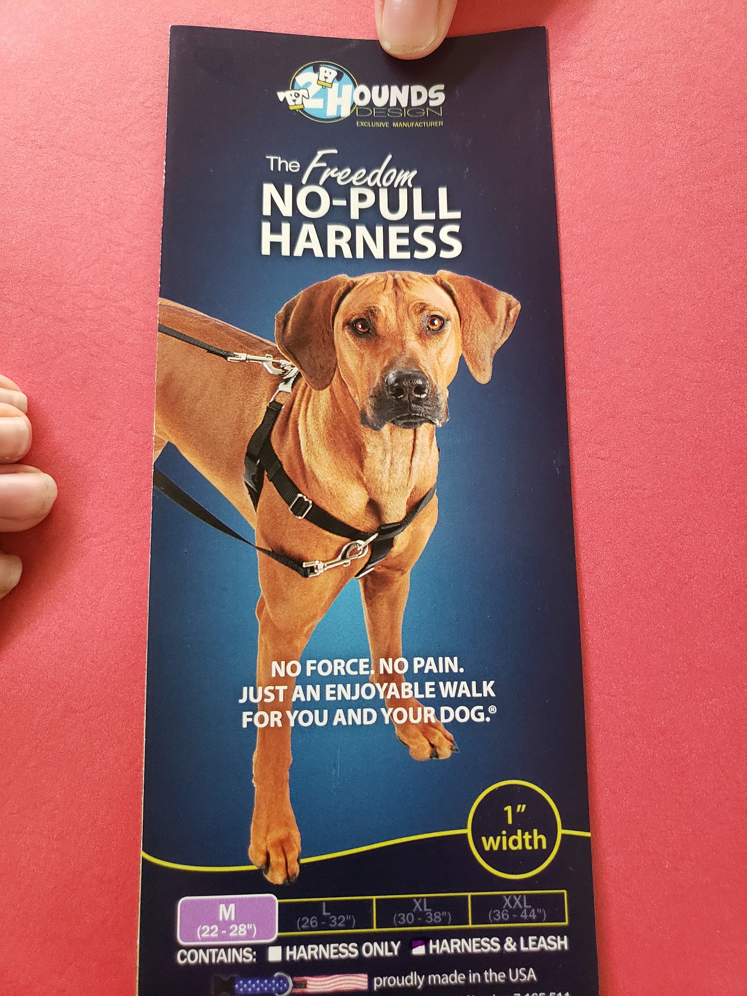 Manners N' More Dog Traning
