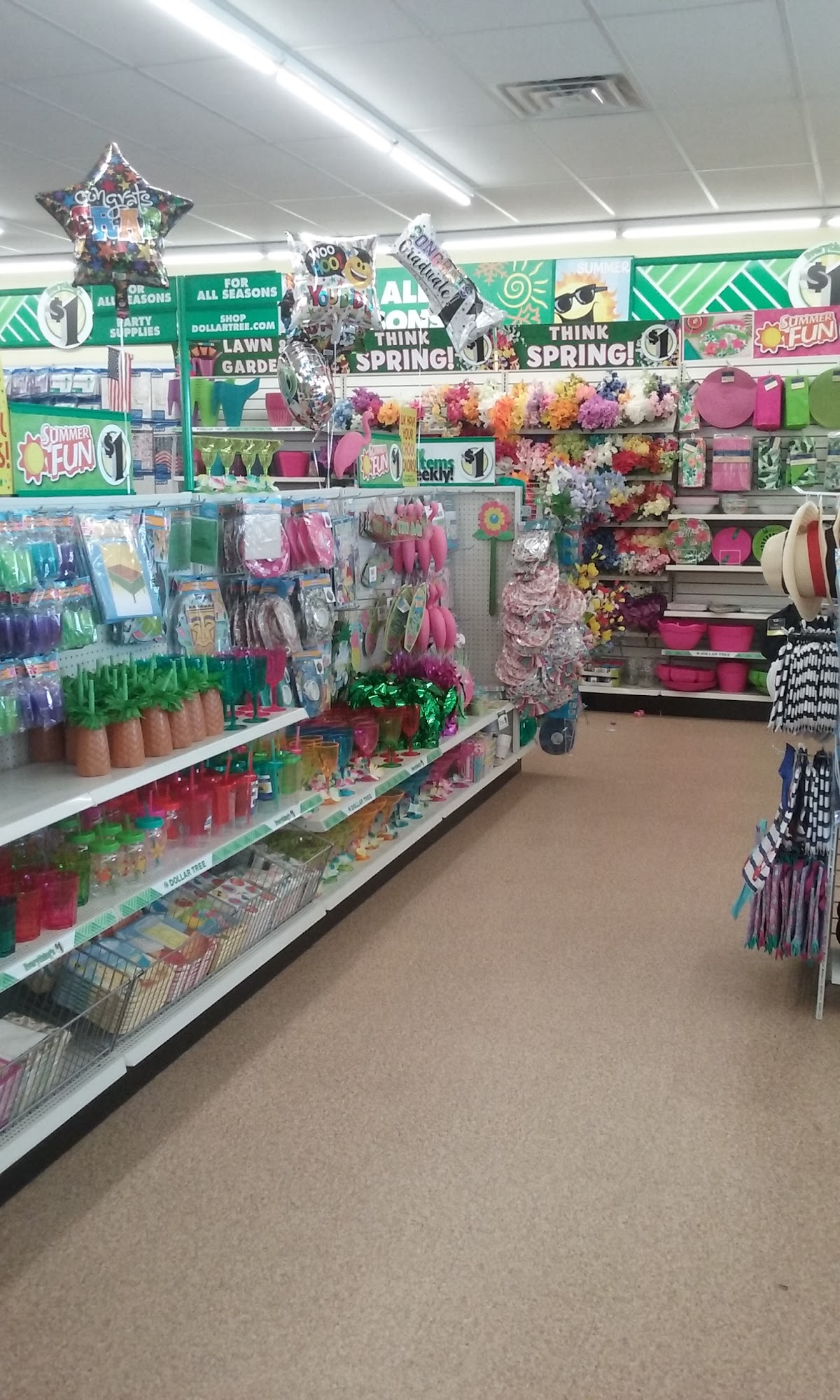 Dollar Tree